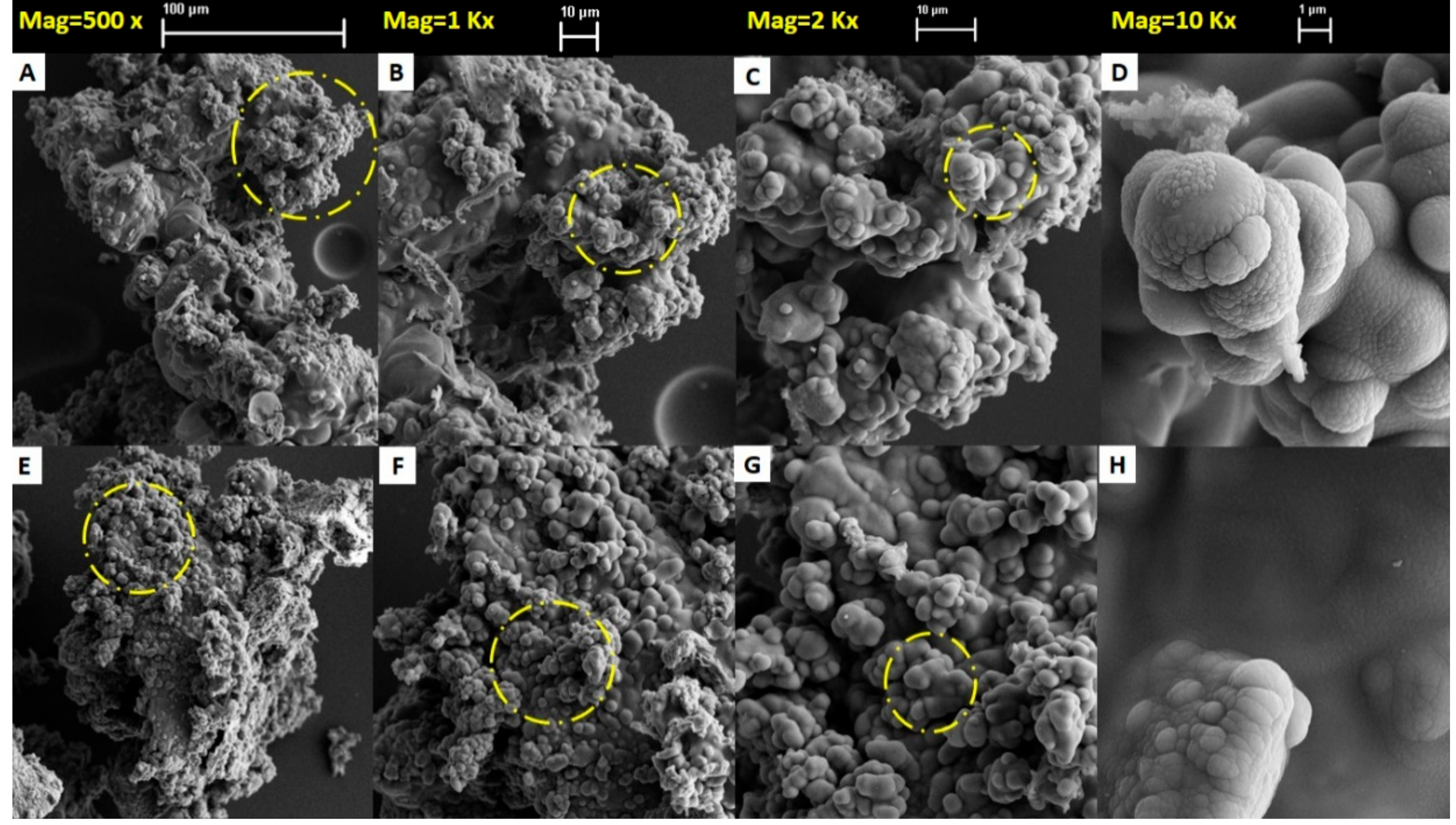 Energies 13 05395 g004