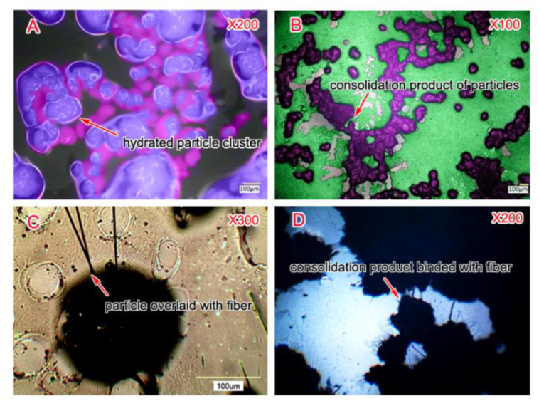 Energies 13 05597 g004