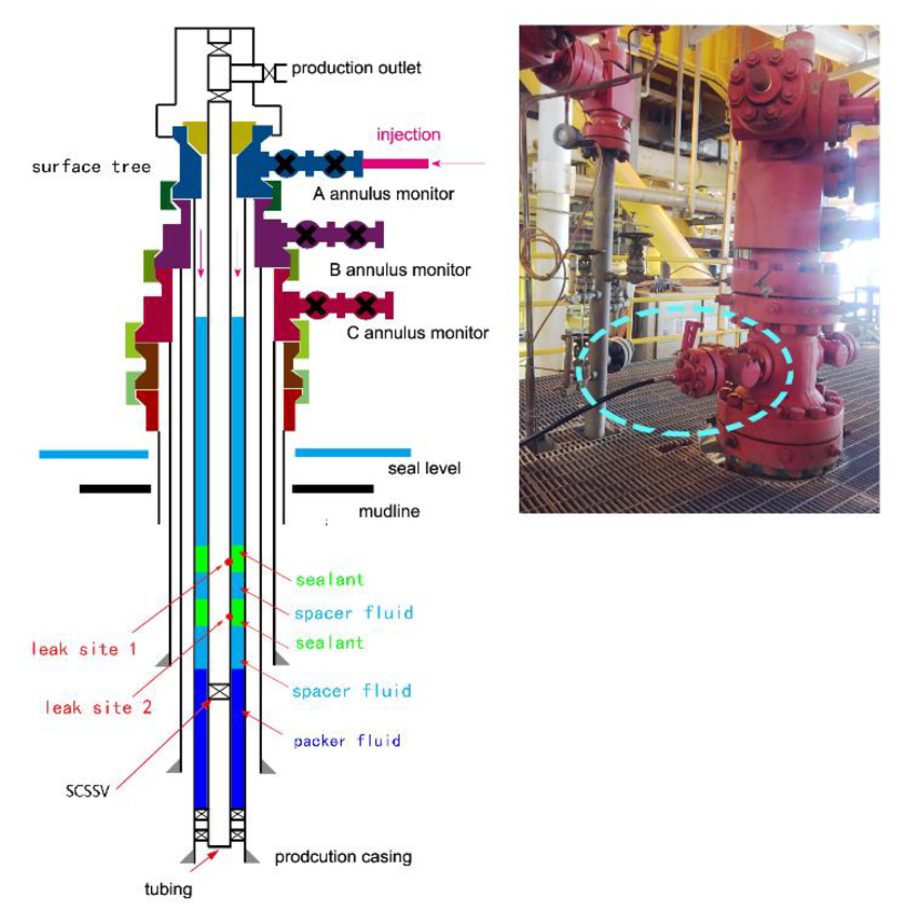 Energies 13 05597 g009