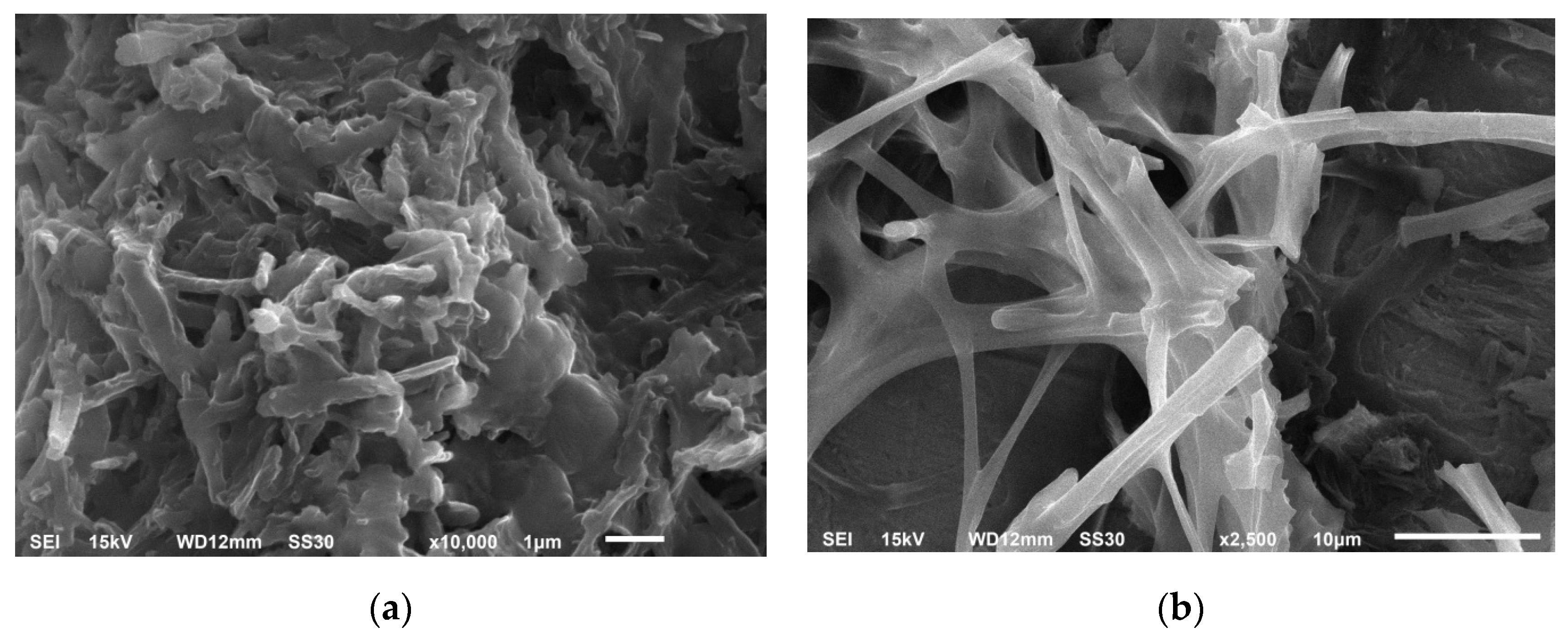 Energies 13 05630 g001