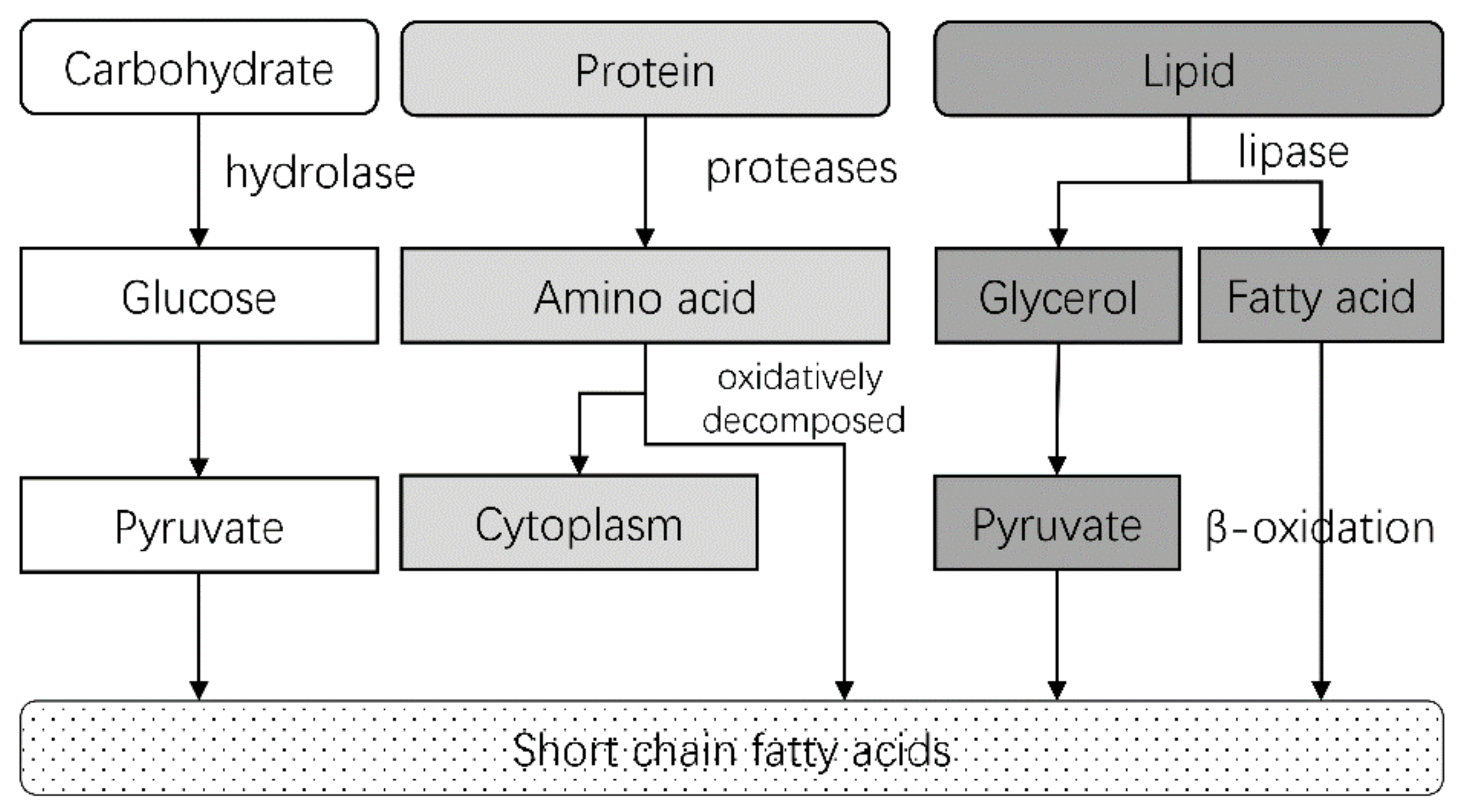 Energies 13 05638 g001