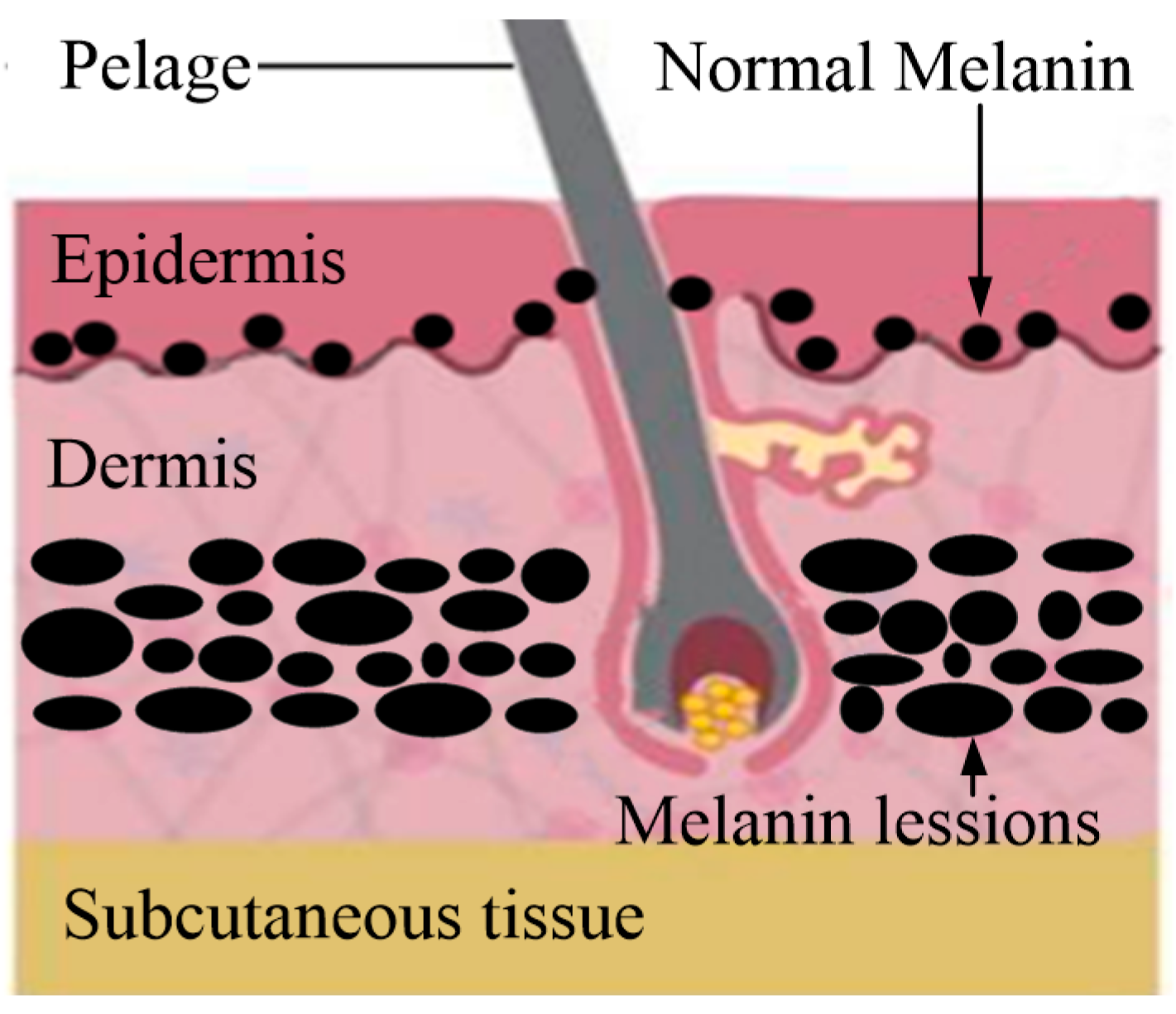 Energies 13 05647 g001