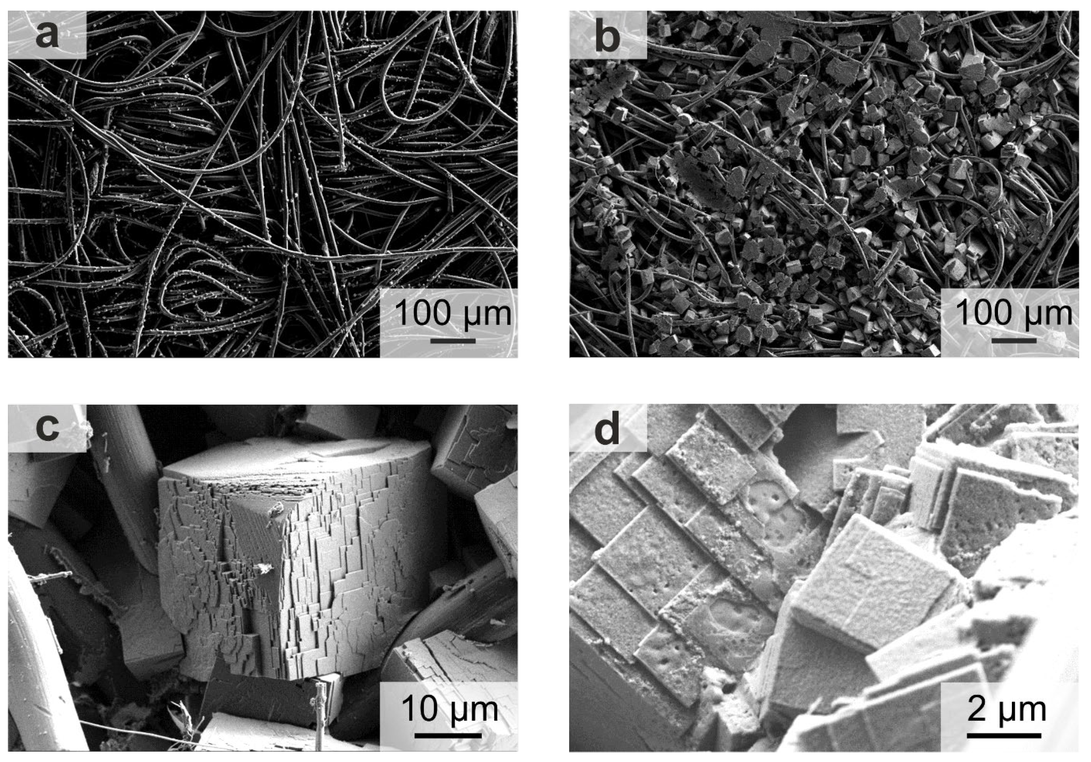 Energies 13 05650 g002