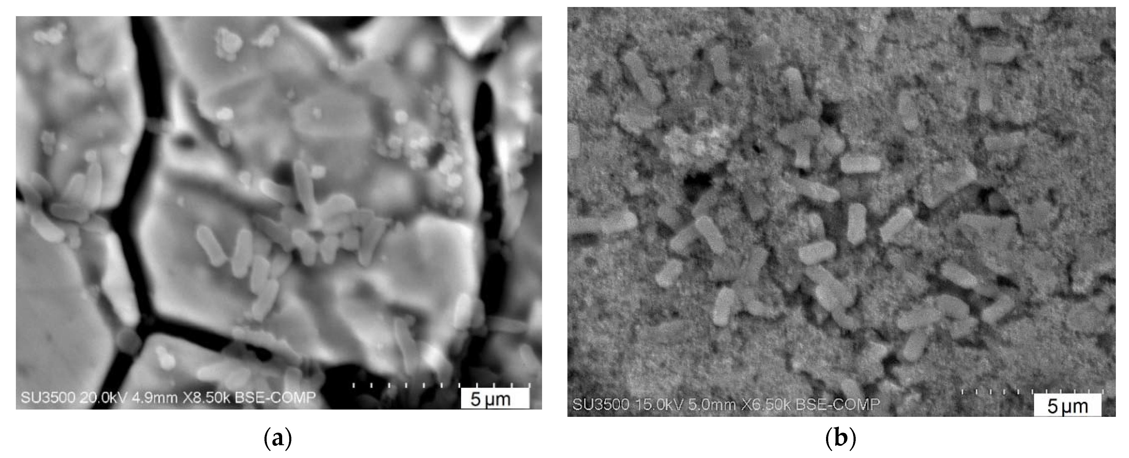 Energies 13 05803 g009