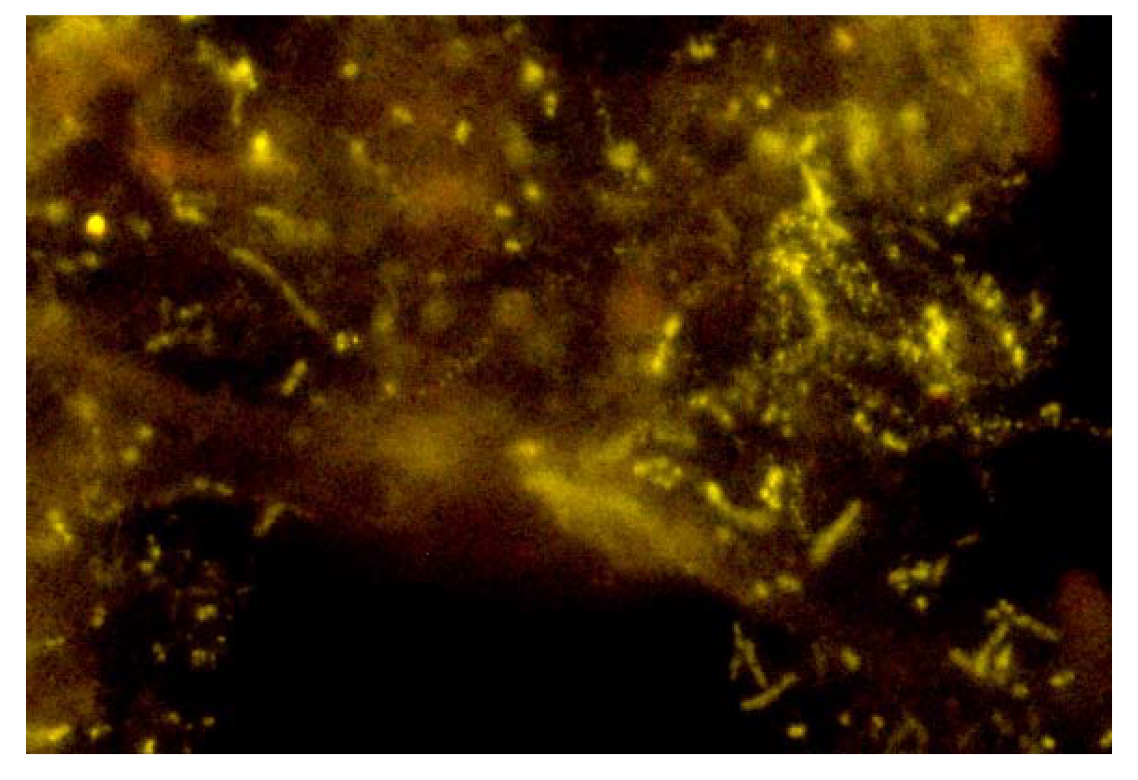 Energies 13 05803 g010