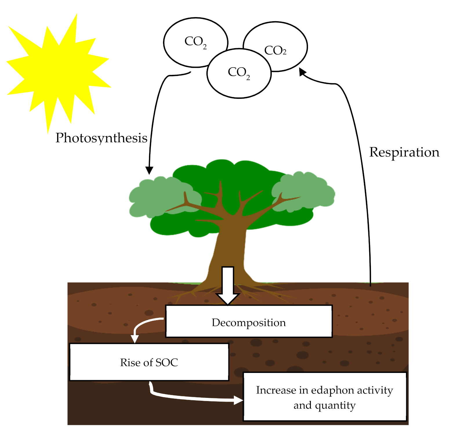 Energies 13 05813 g004