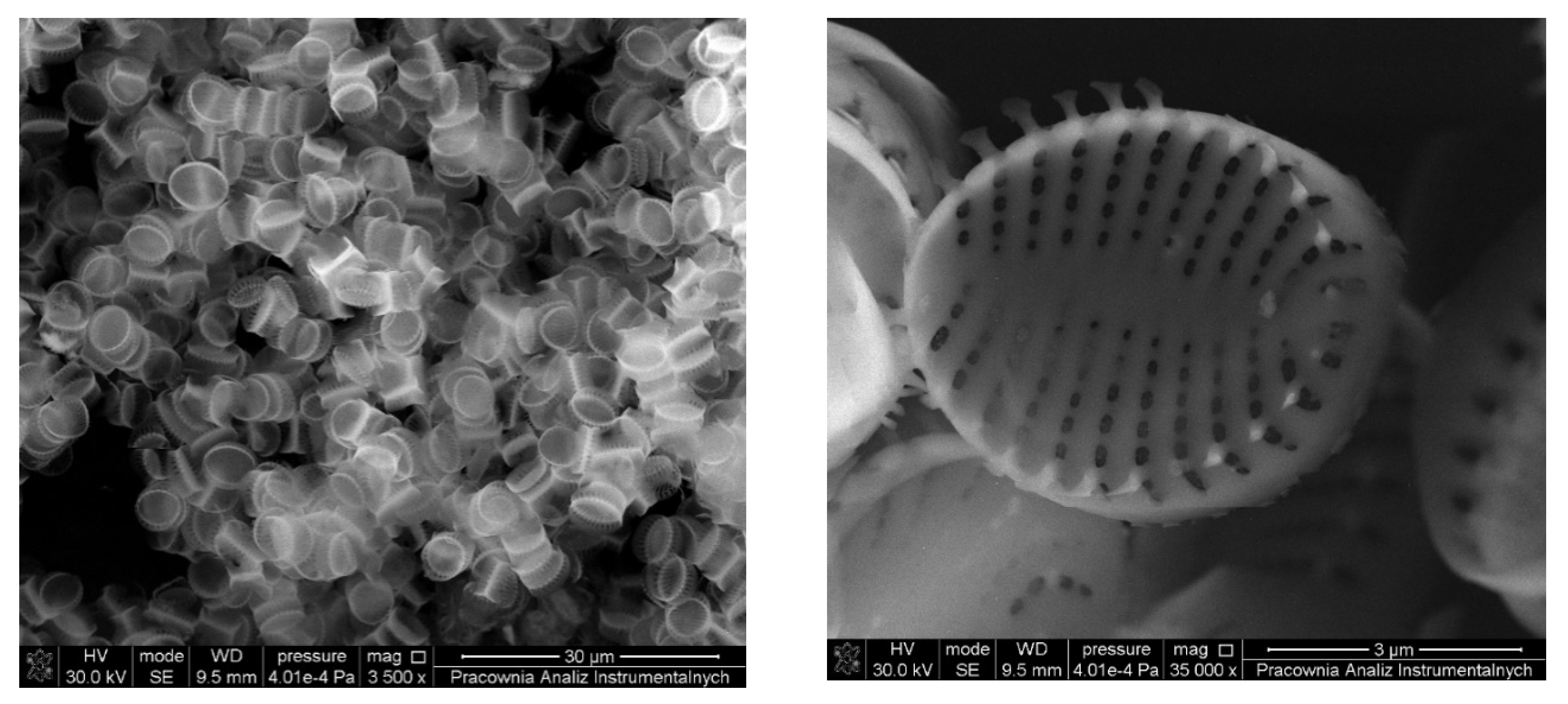 Energies 13 05828 g001