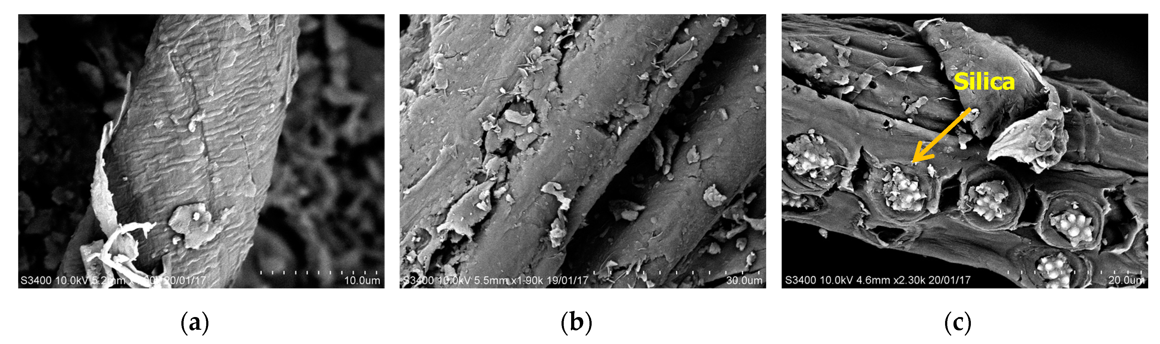 Energies 13 05966 g003