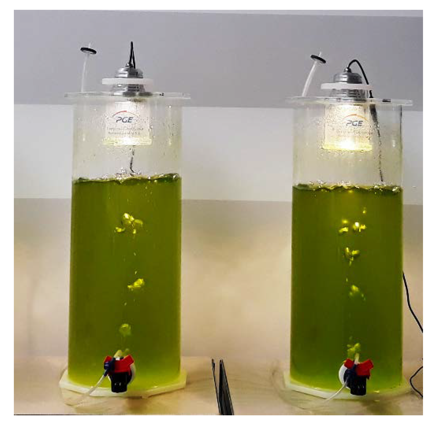 Energies 13 05975 g002