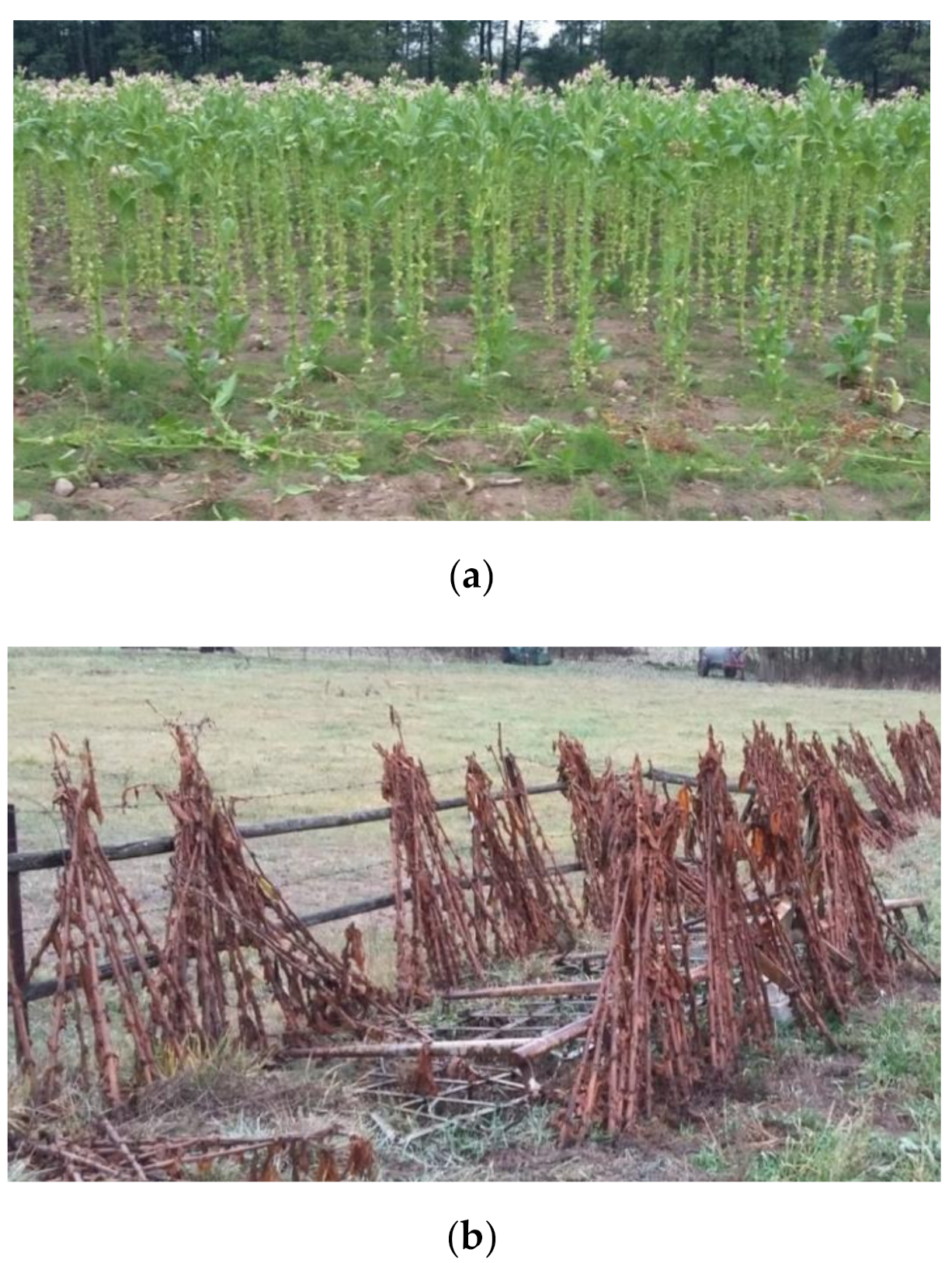 Energies 13 06002 g002a