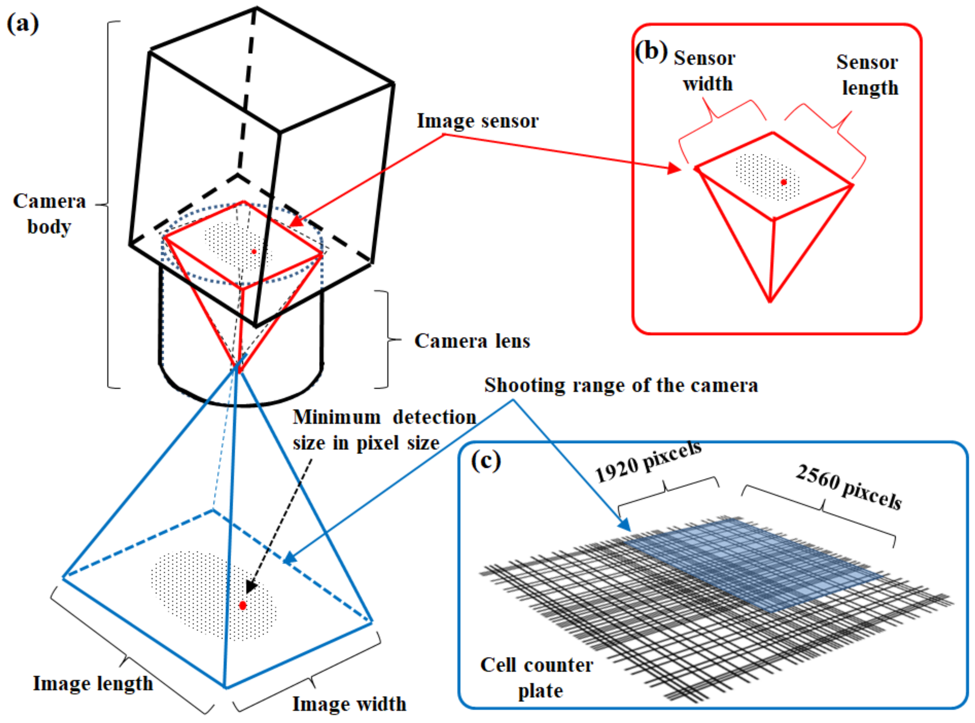 Energies 13 06019 g003