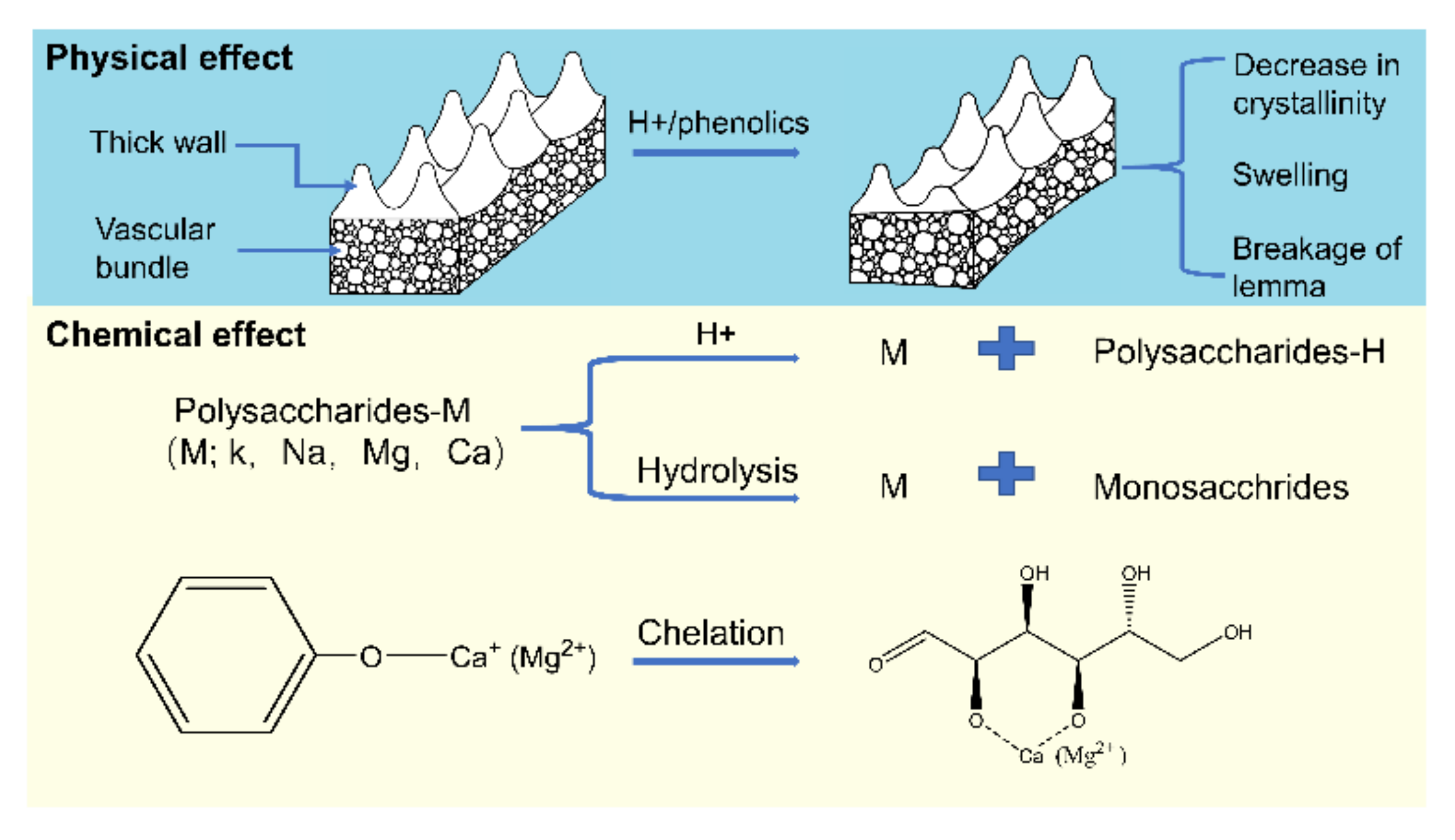 Energies 13 06033 g005