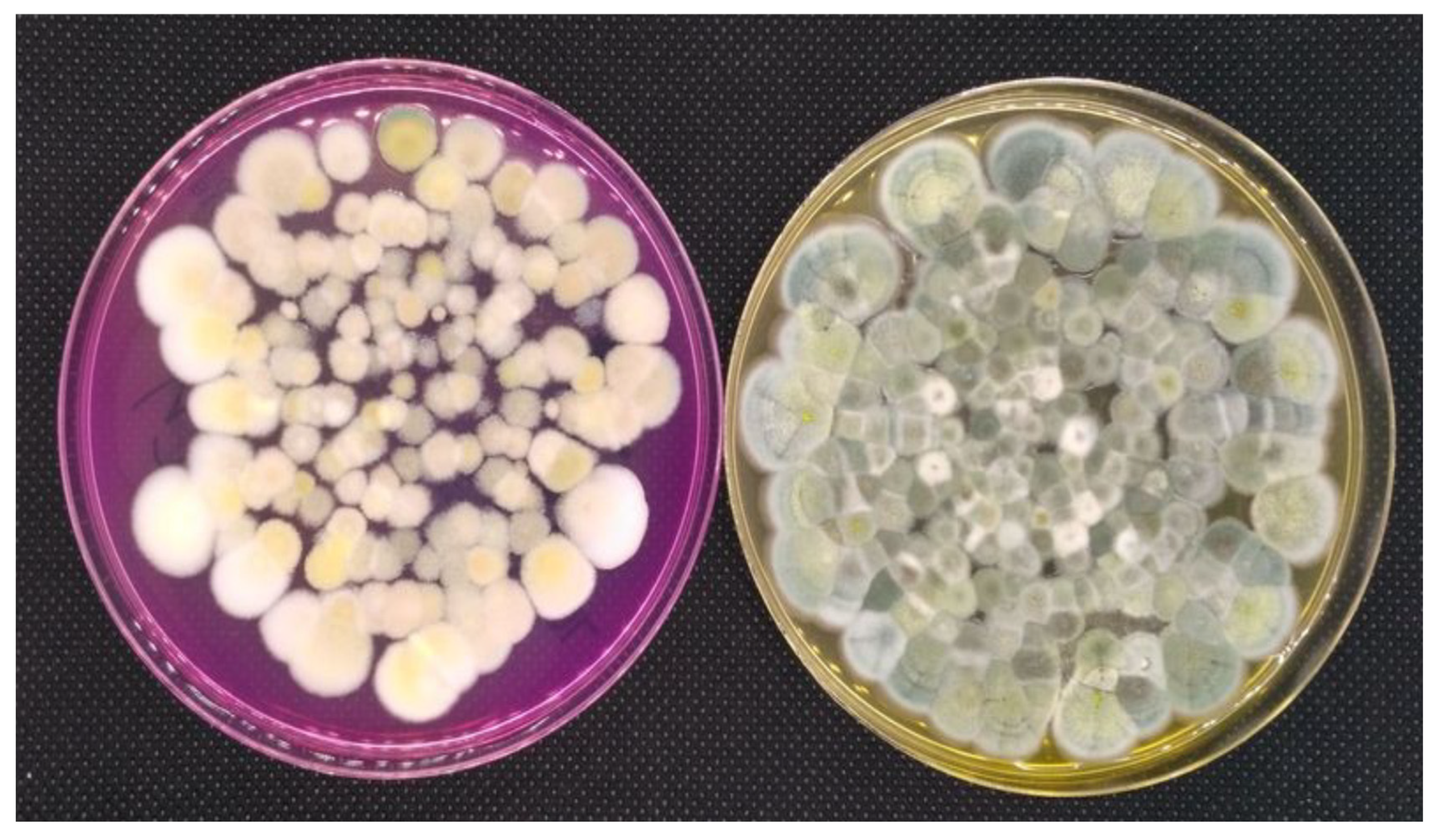 Energies 13 06051 g006 Energies 13 06051 g006