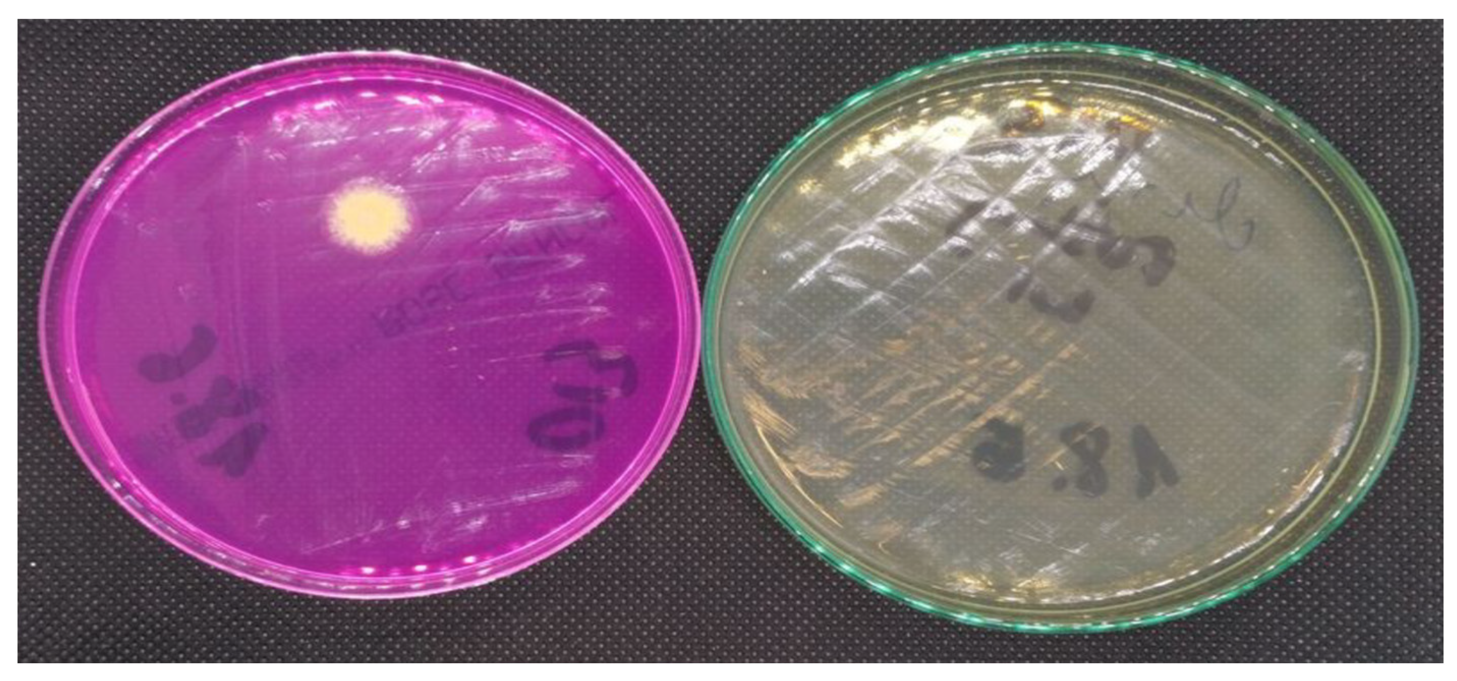 Energies 13 06051 g009 Energies 13 06051 g009