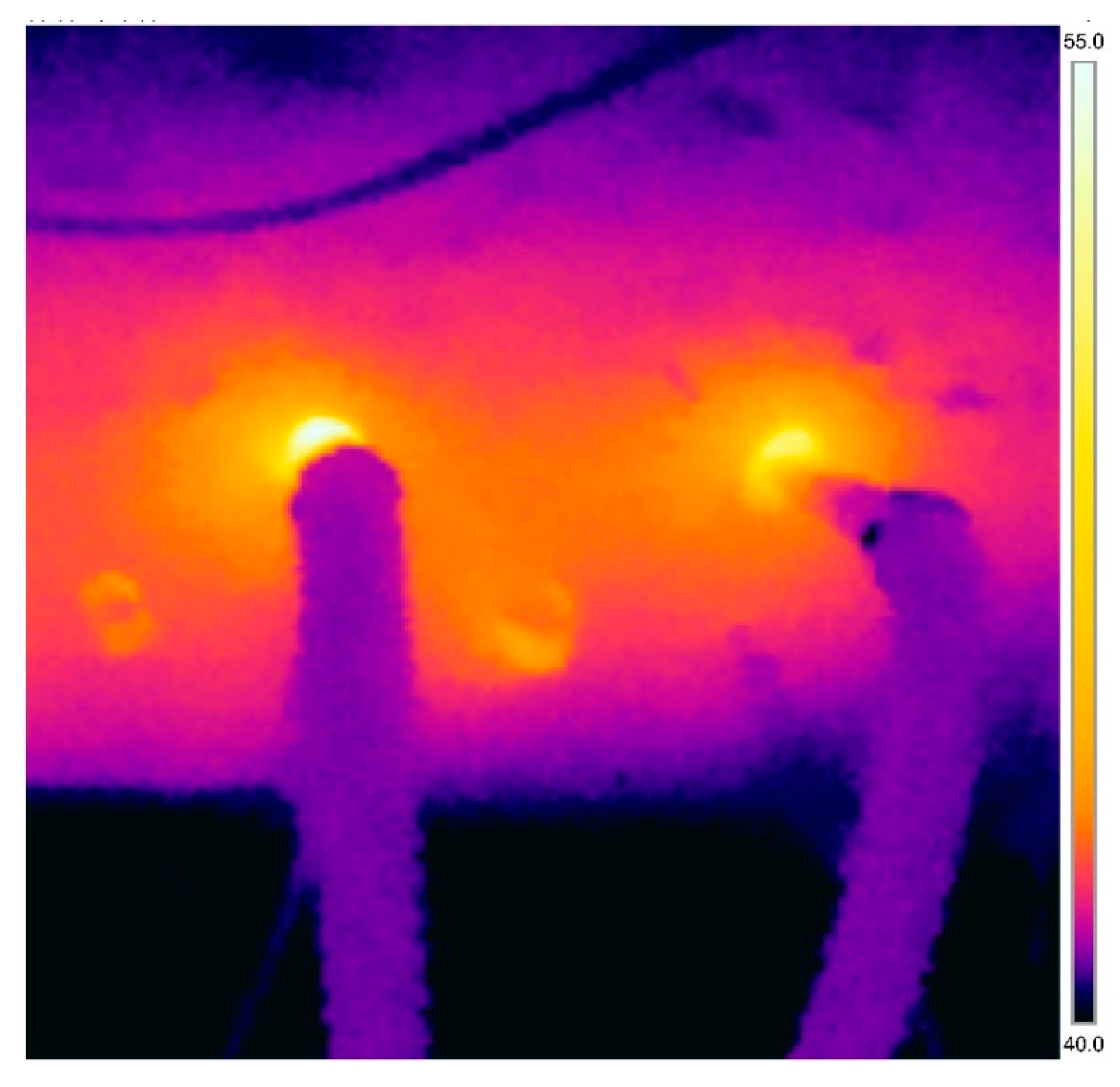 Energies 13 06190 g009