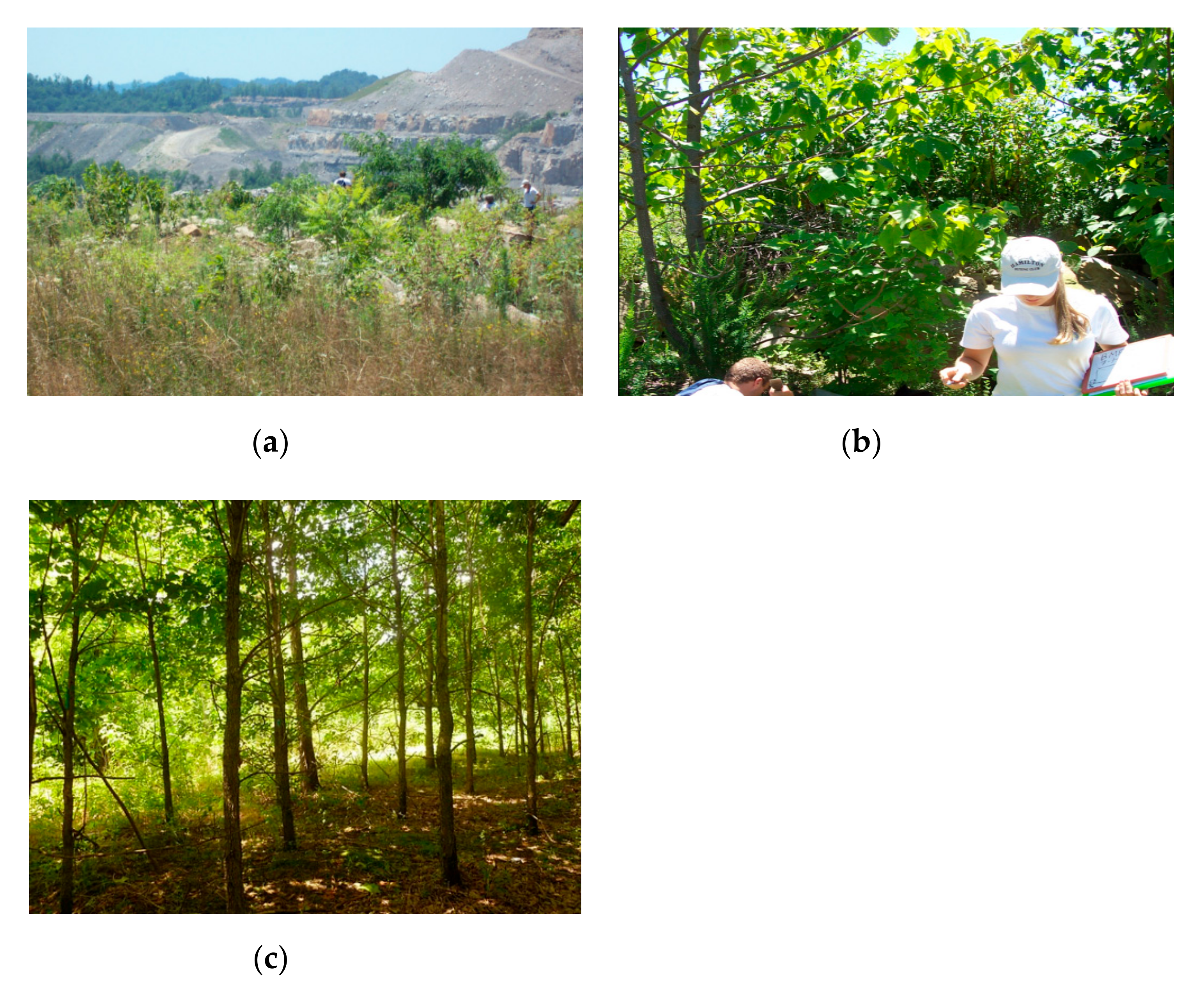 Energies 13 06340 g003