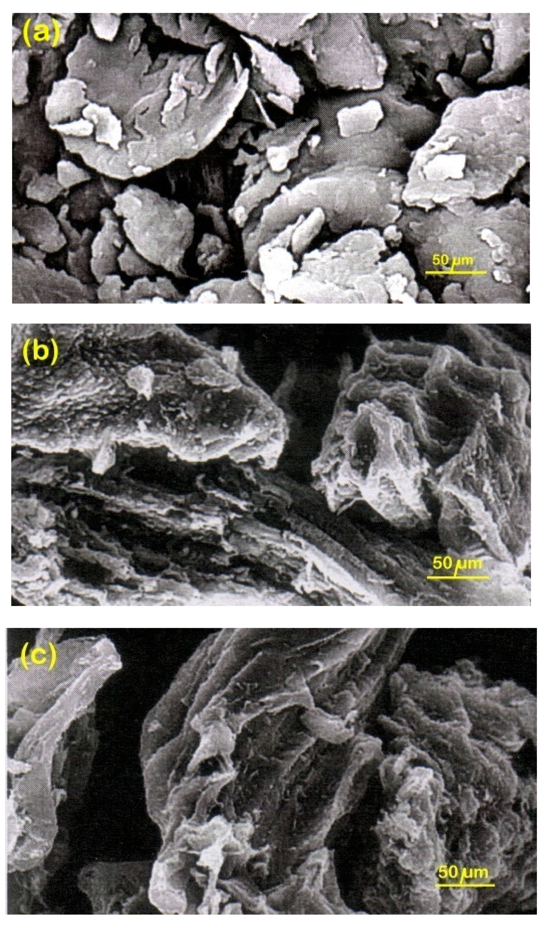 Energies 13 06359 g012