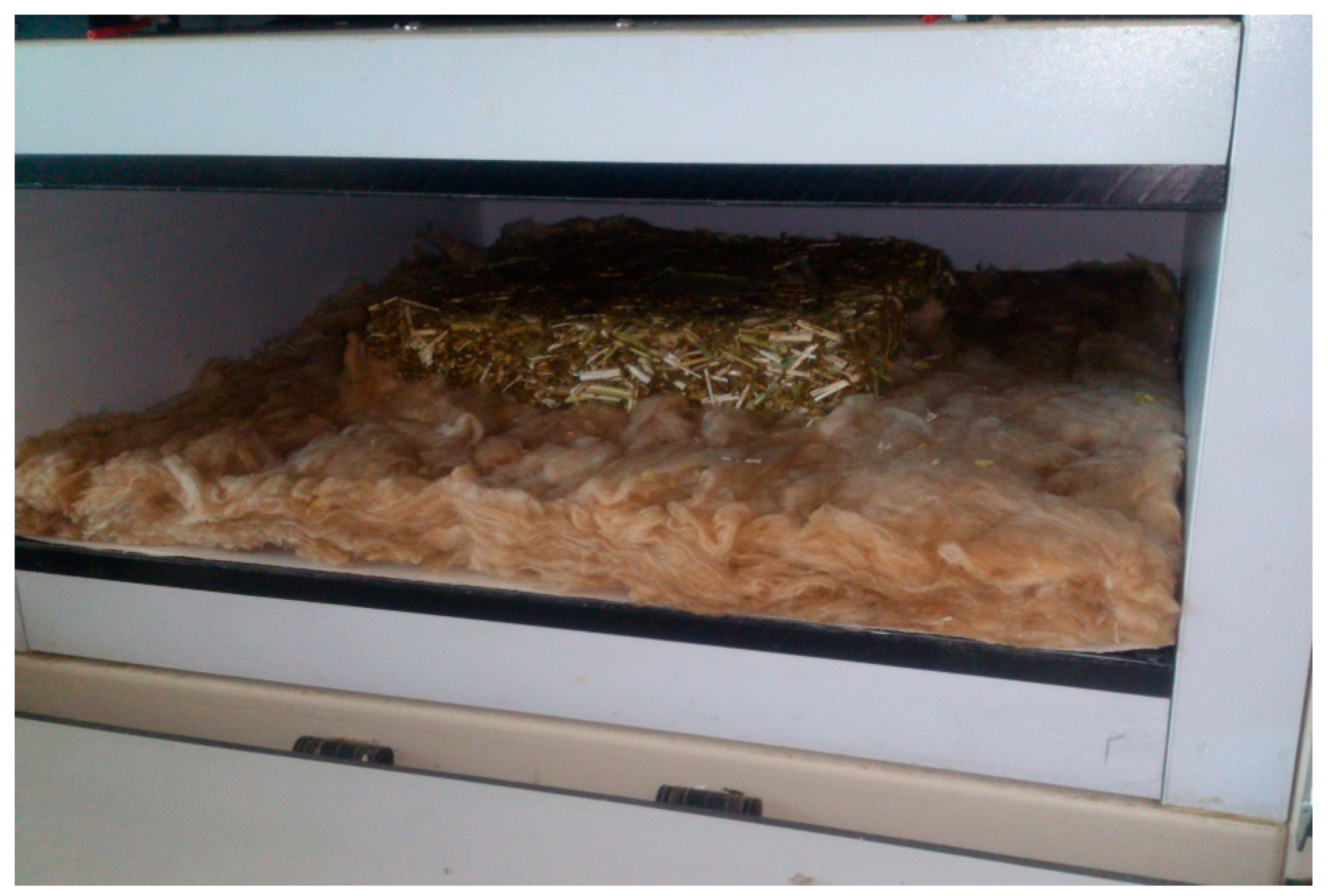 Energies 13 06385 g003