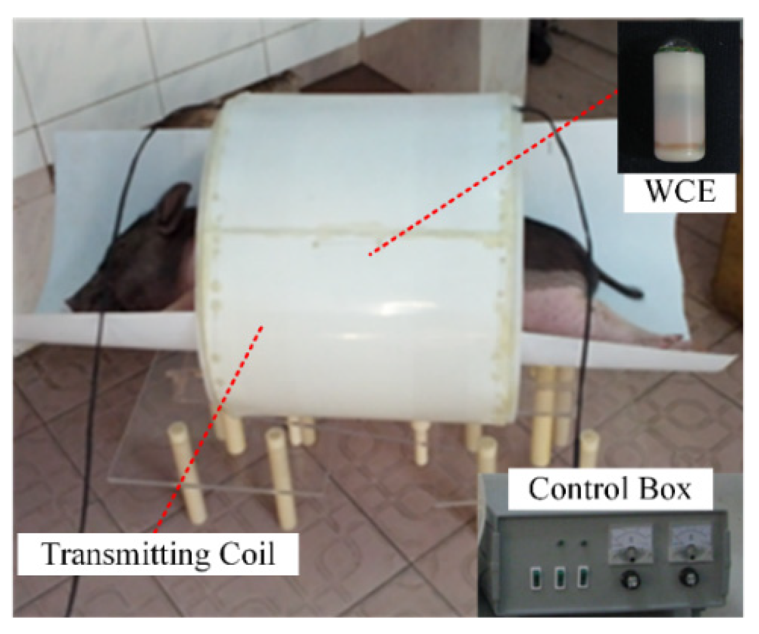 Energies 13 06460 g007