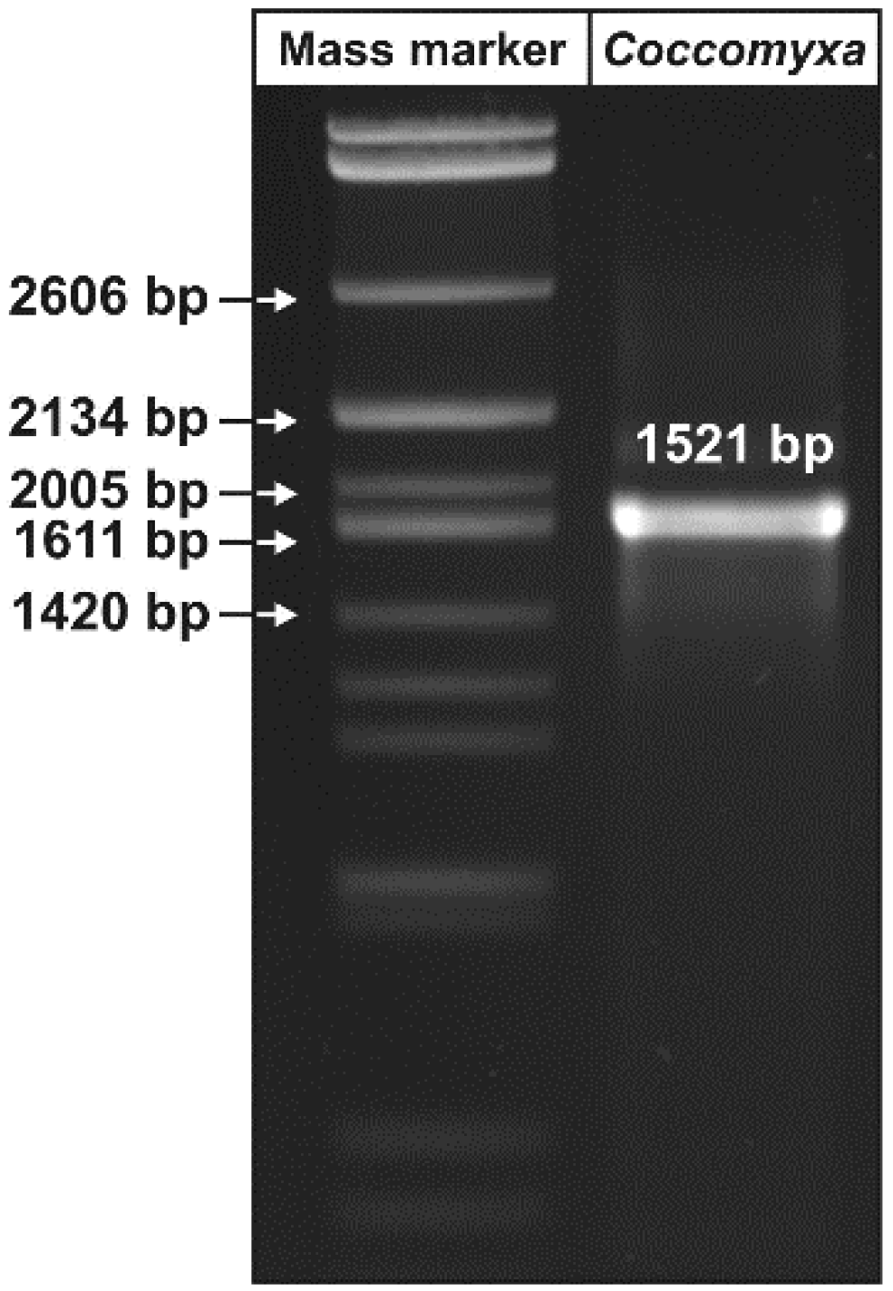 Energies 13 06494 g002