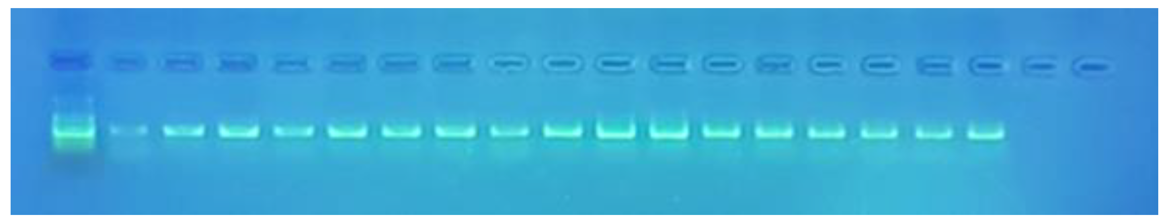 Energies 13 06539 g001