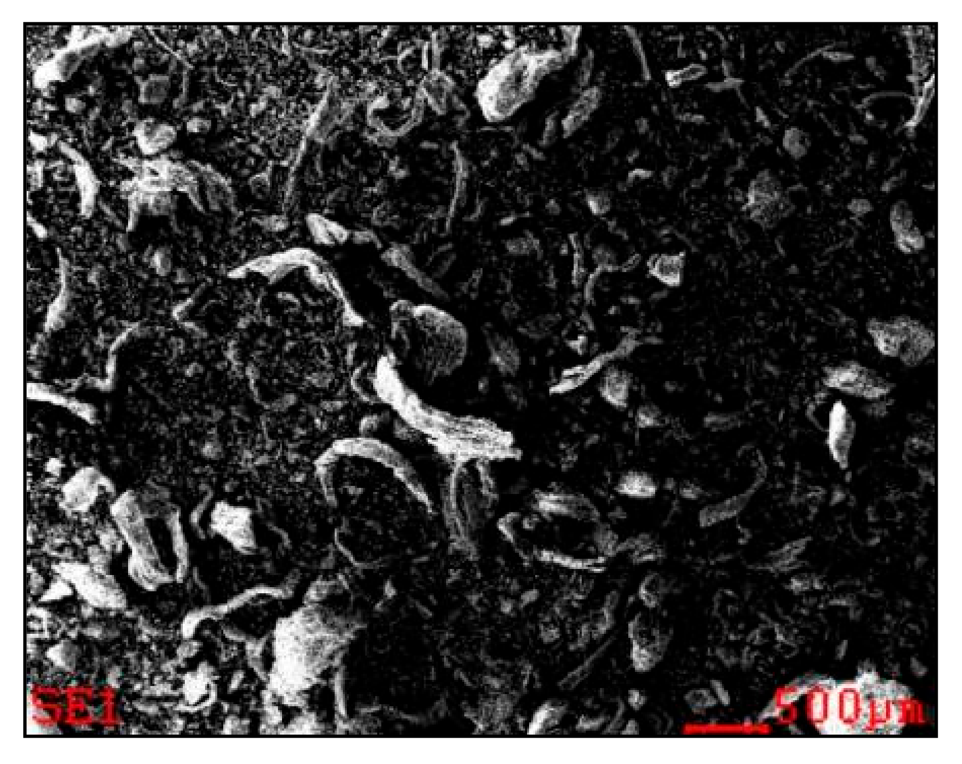 Energies 13 06543 g010 Energies 13 06543 g010