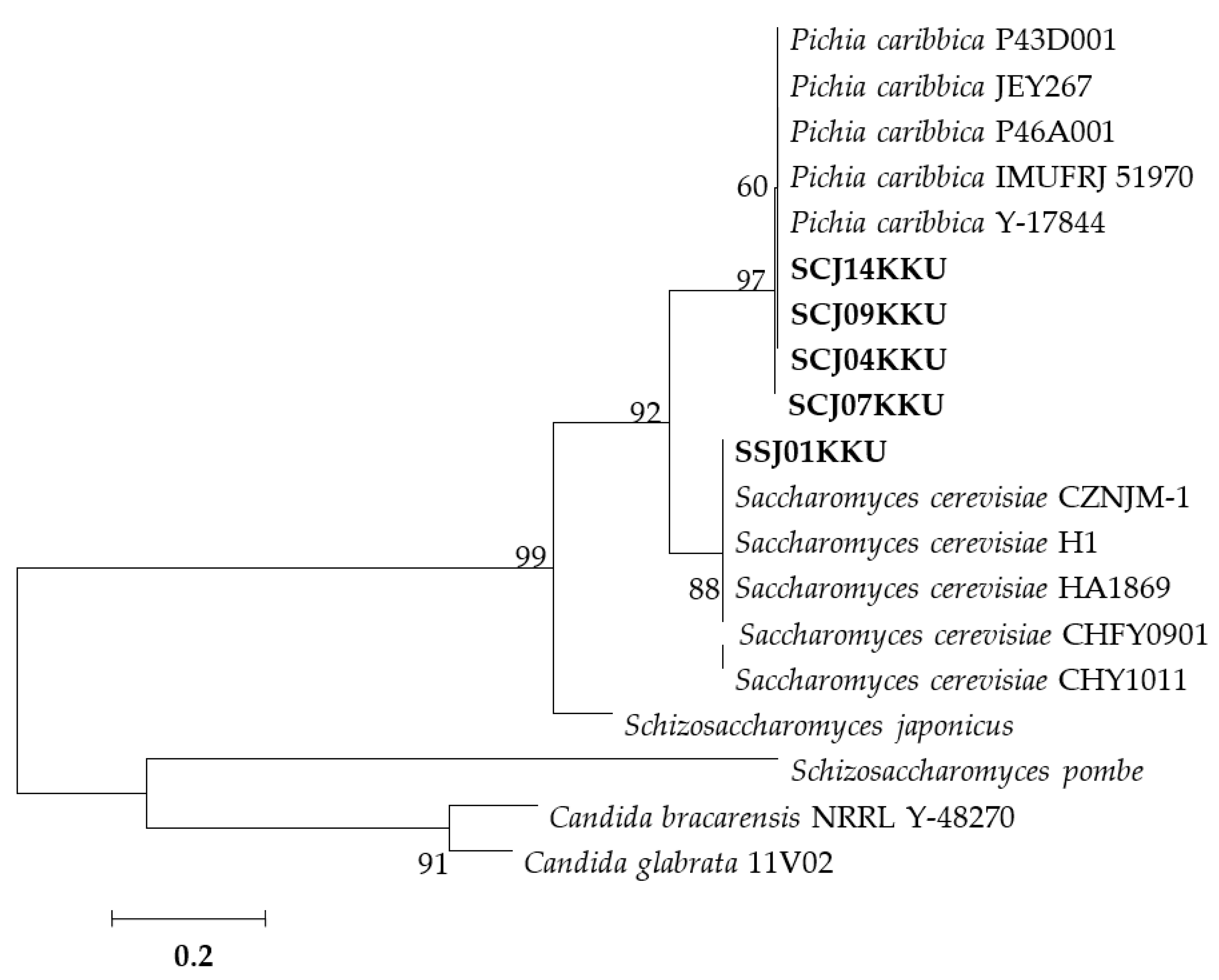 Energies 14 00557 g004 Energies 14 00557 g004