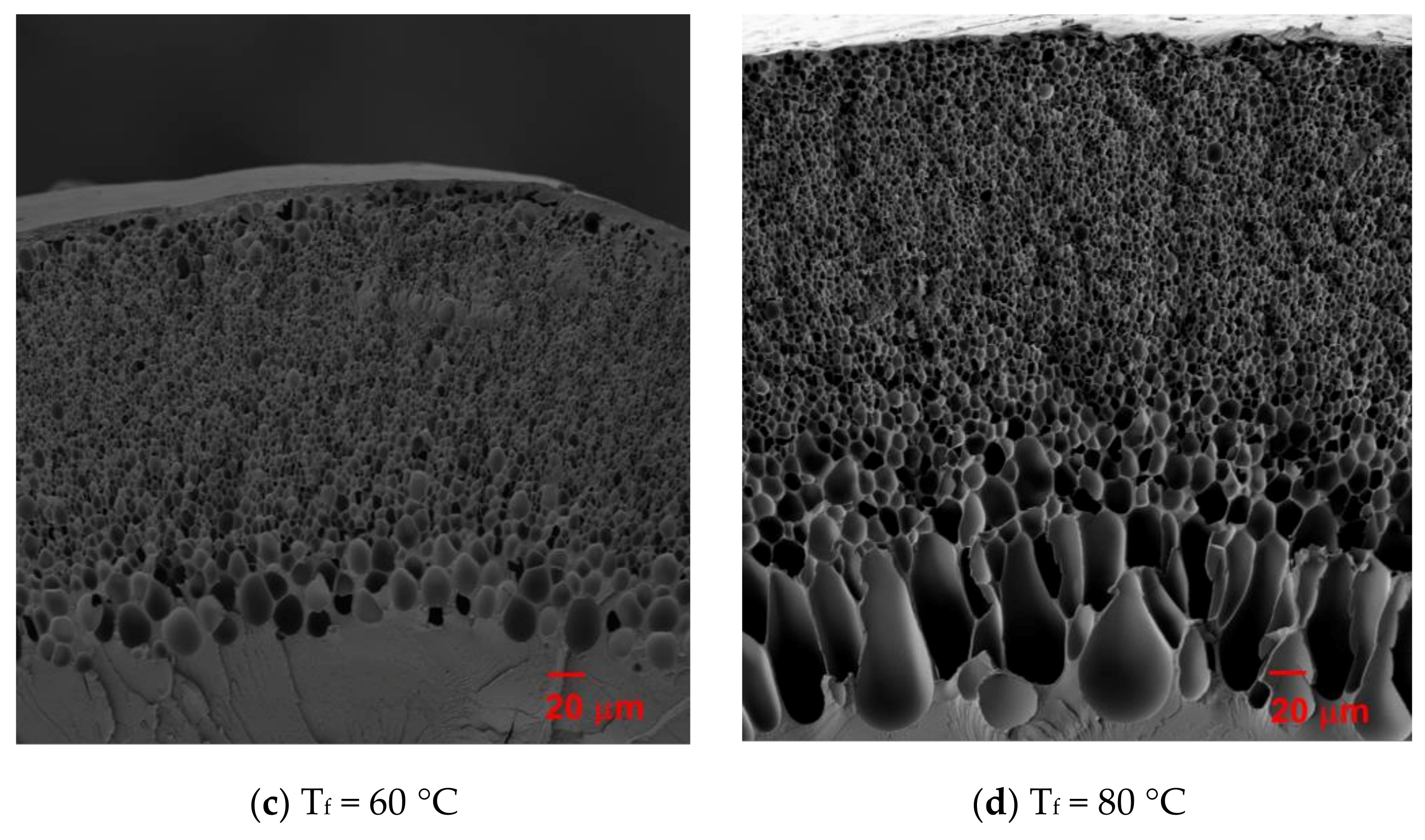 Energies 14 00957 g001b