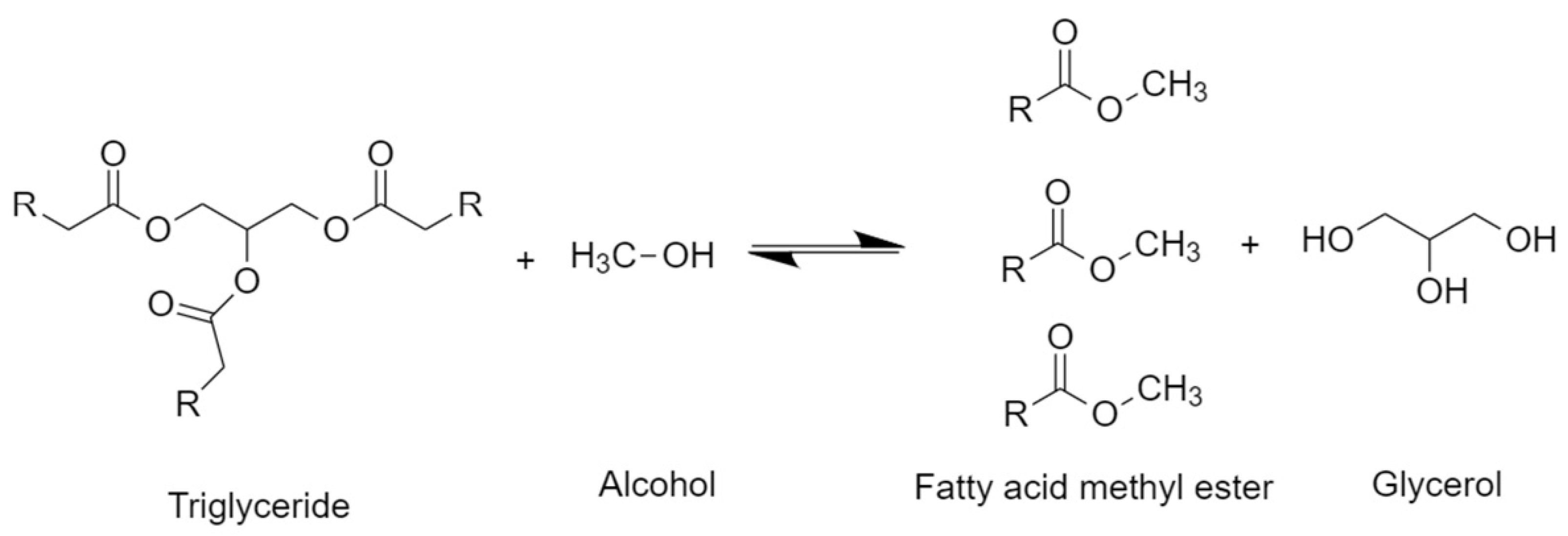 Energies 14 01031 g001