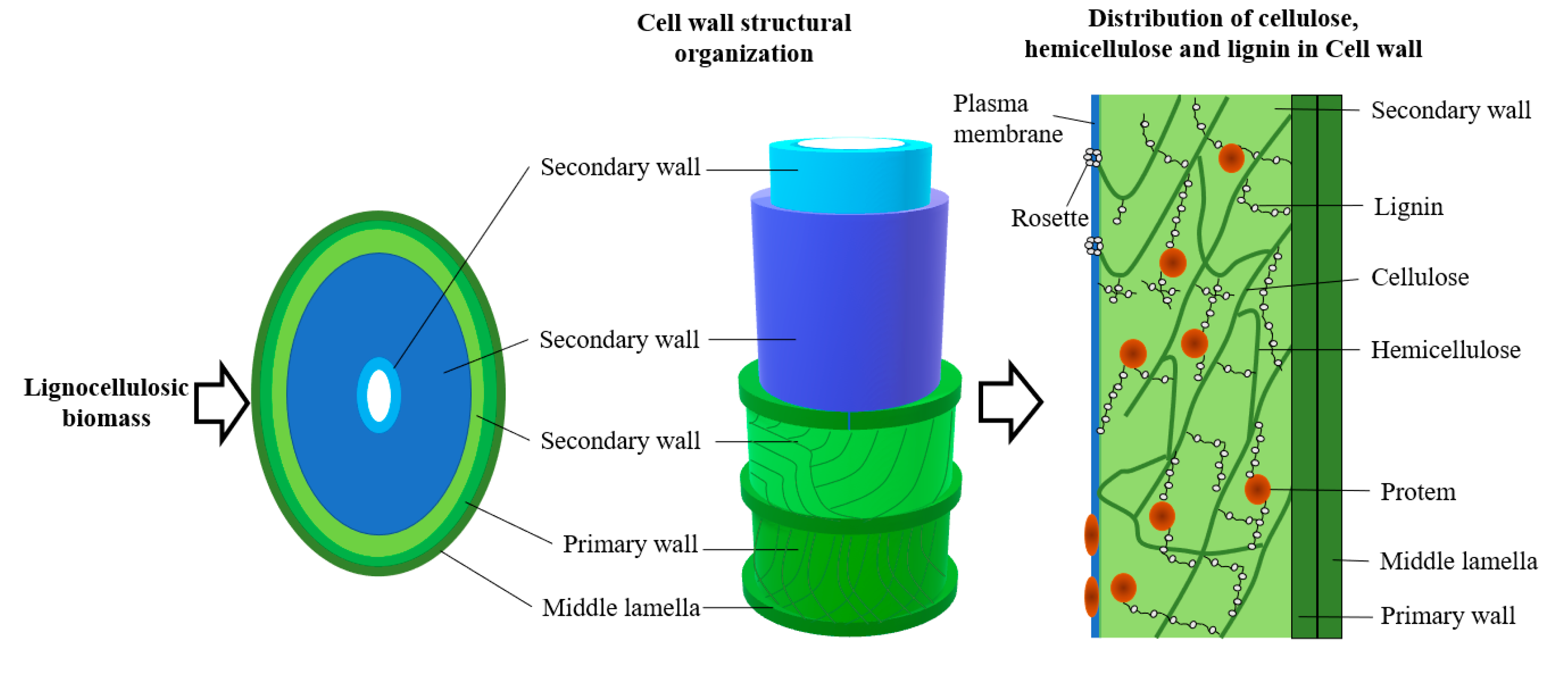 Energies 14 01144 g008