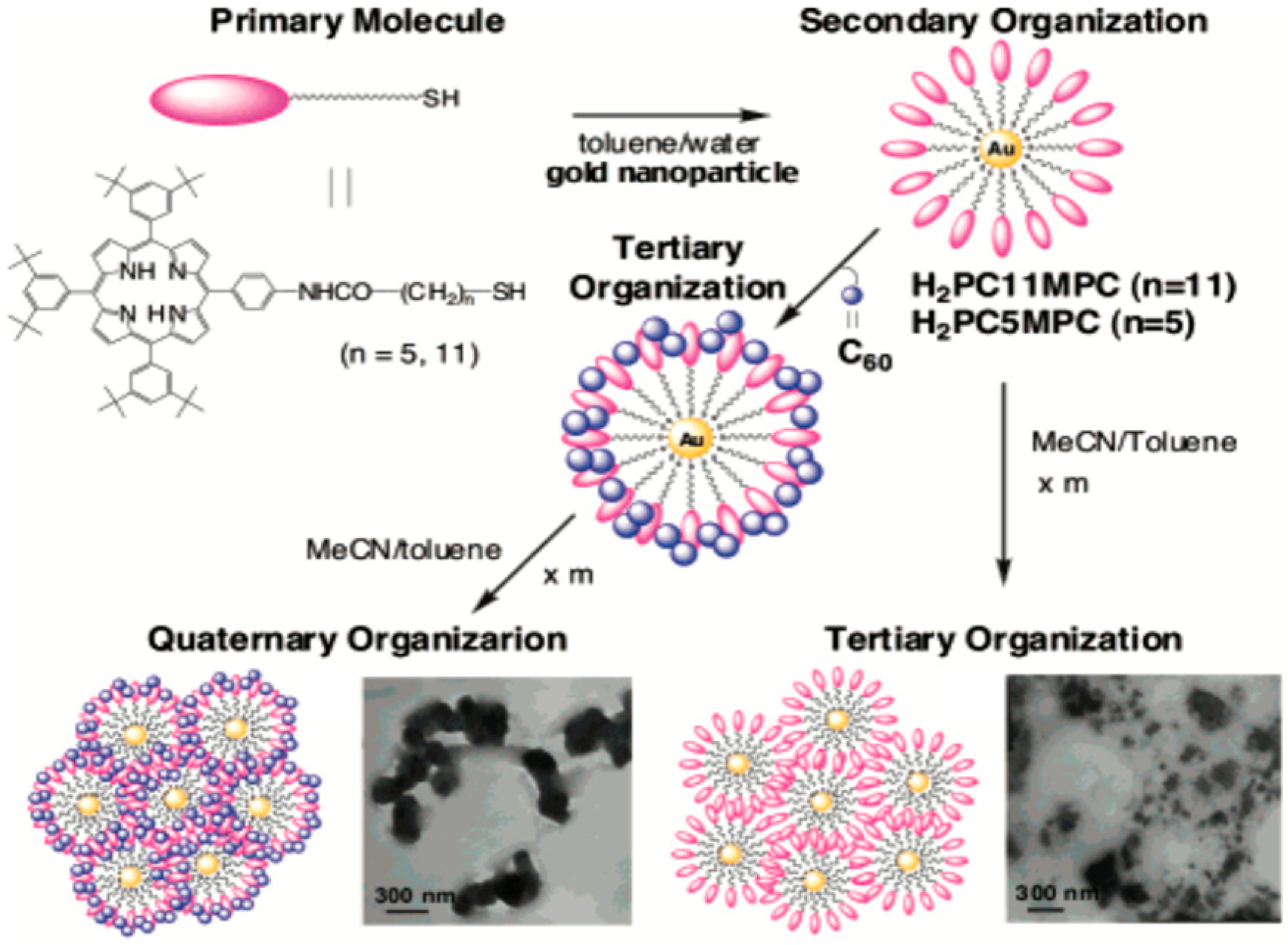 Energies 14 01278 g003