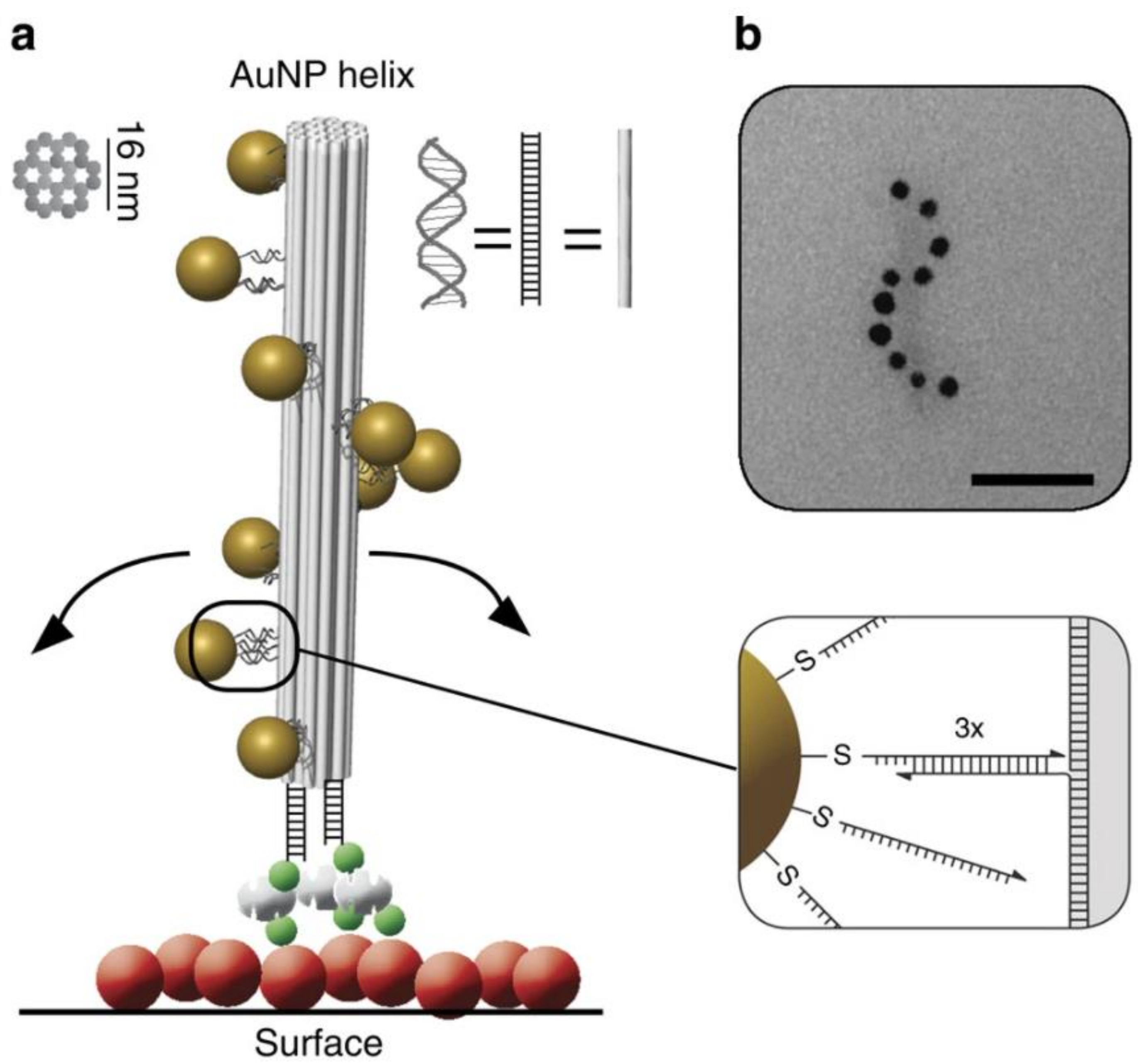 Energies 14 01278 g041