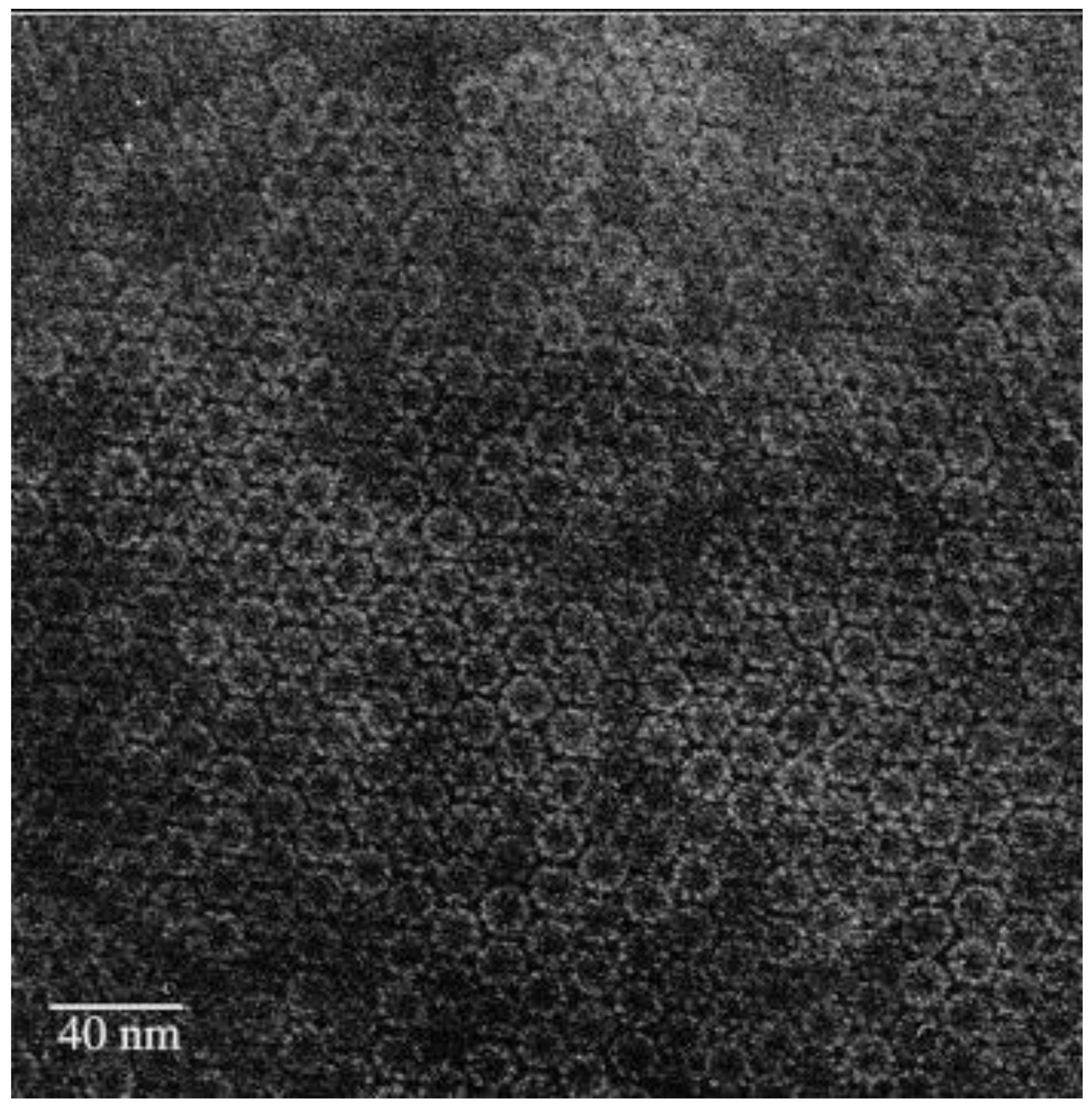 Energies 14 01278 g043