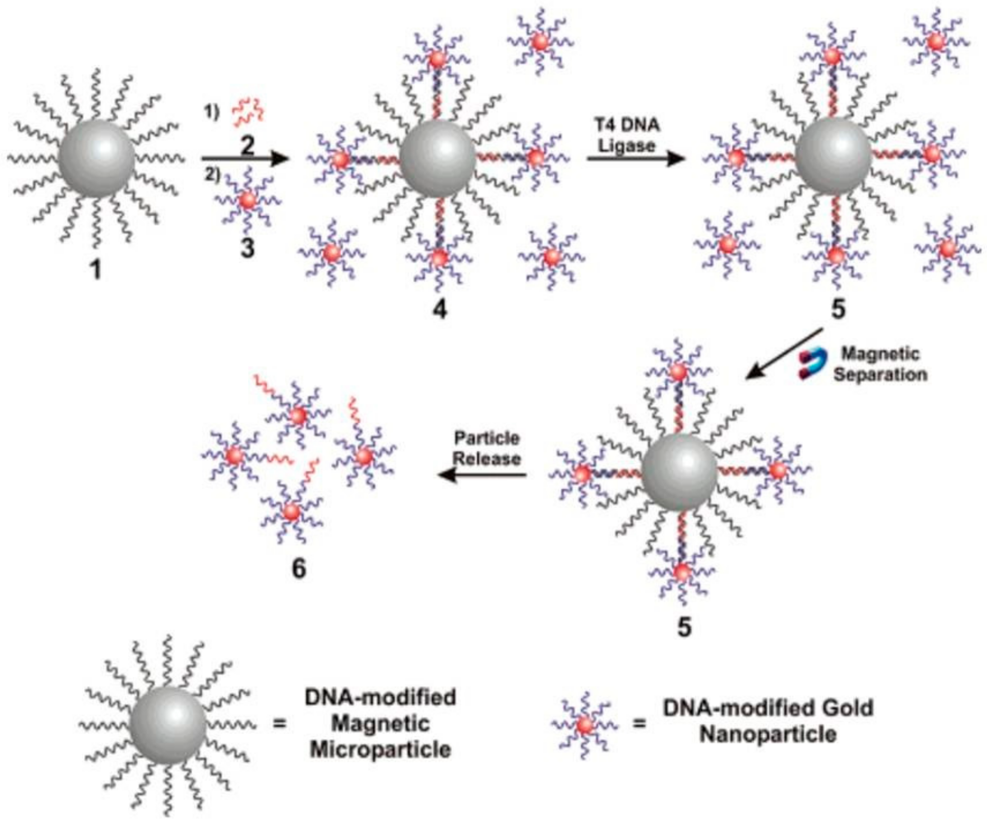 Energies 14 01278 g047
