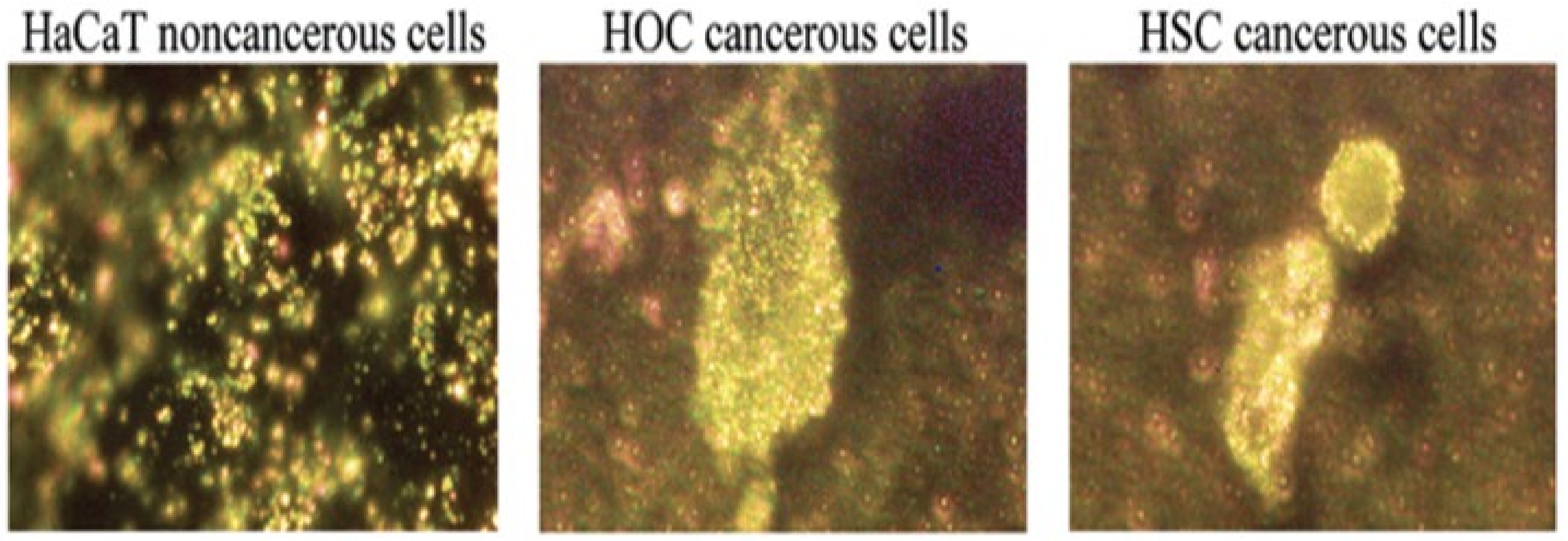 Energies 14 01278 g060