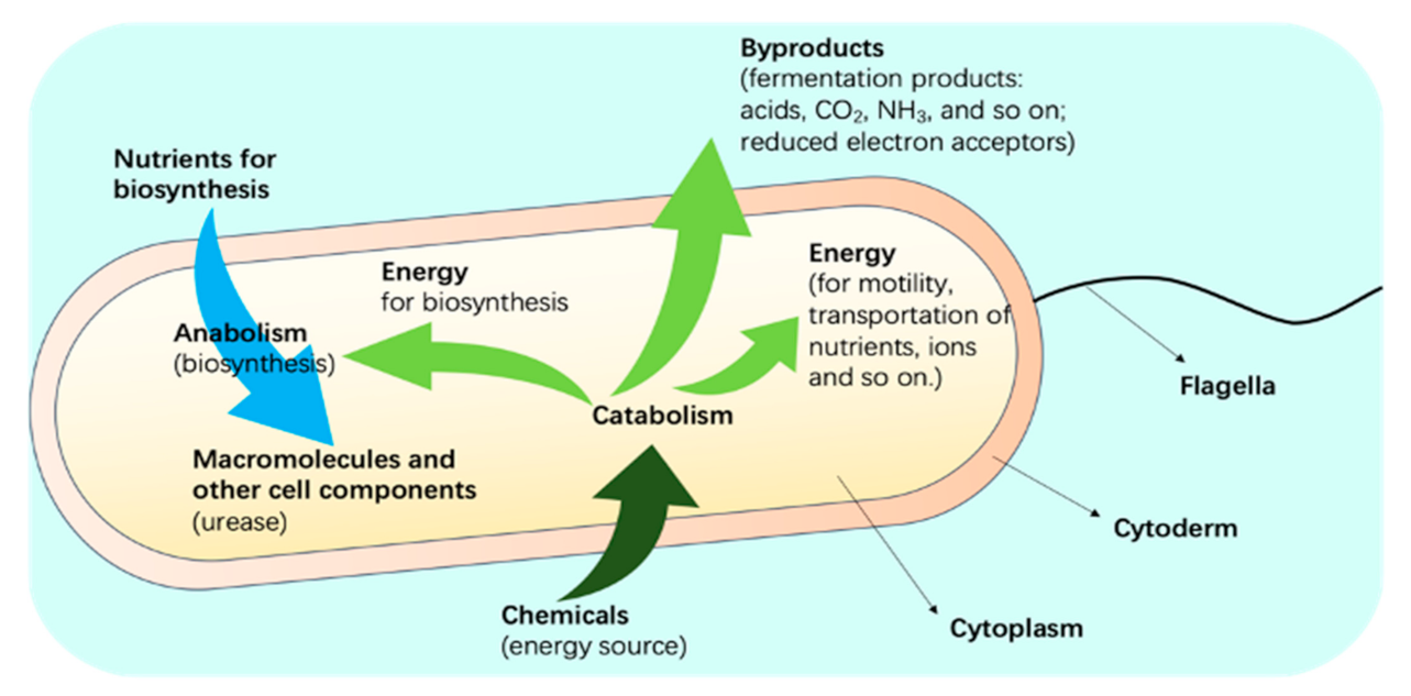 Energies 14 01544 g004 Energies 14 01544 g004