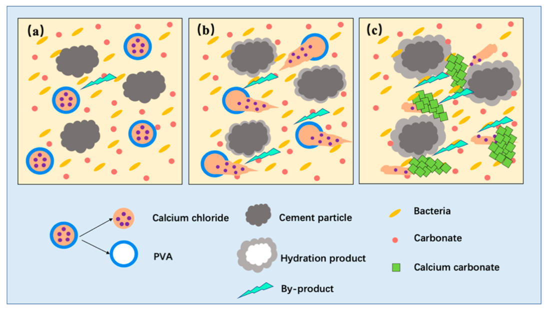 Energies 14 01544 g010 Energies 14 01544 g010