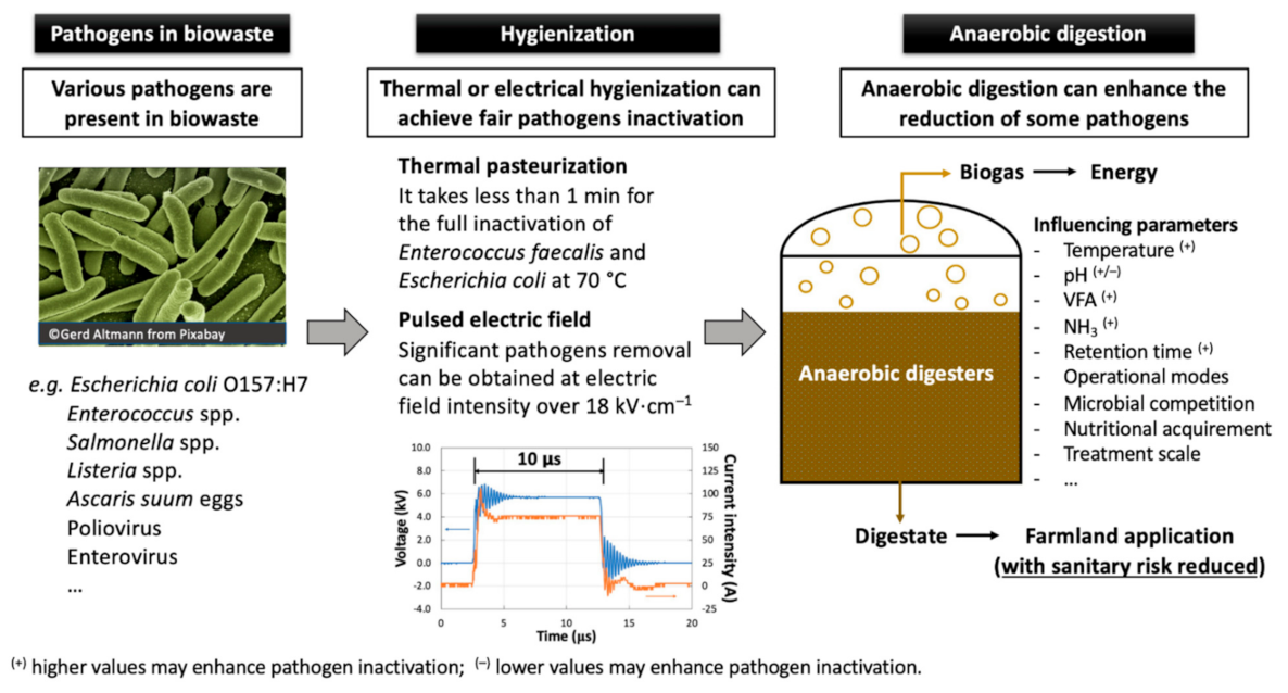 Energies 14 01938 g005