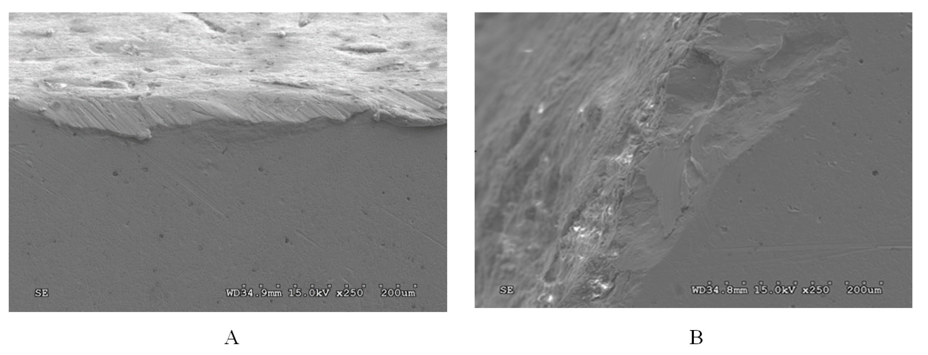 Energies 14 01981 g009