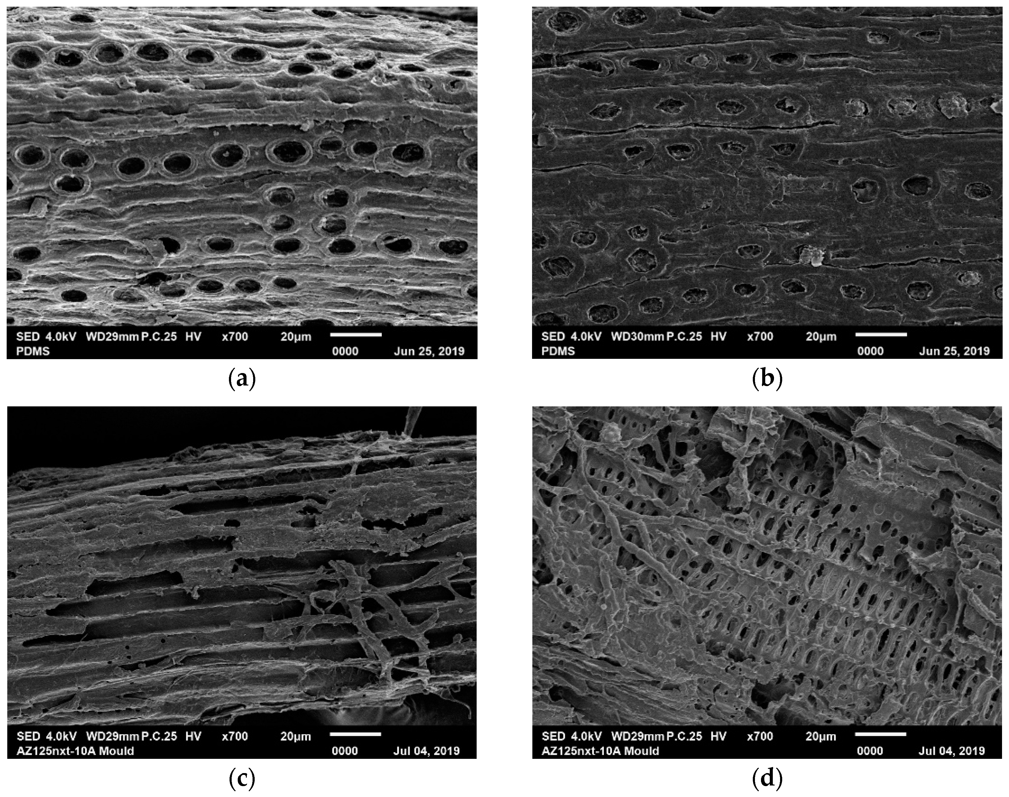 Energies 14 02098 g007