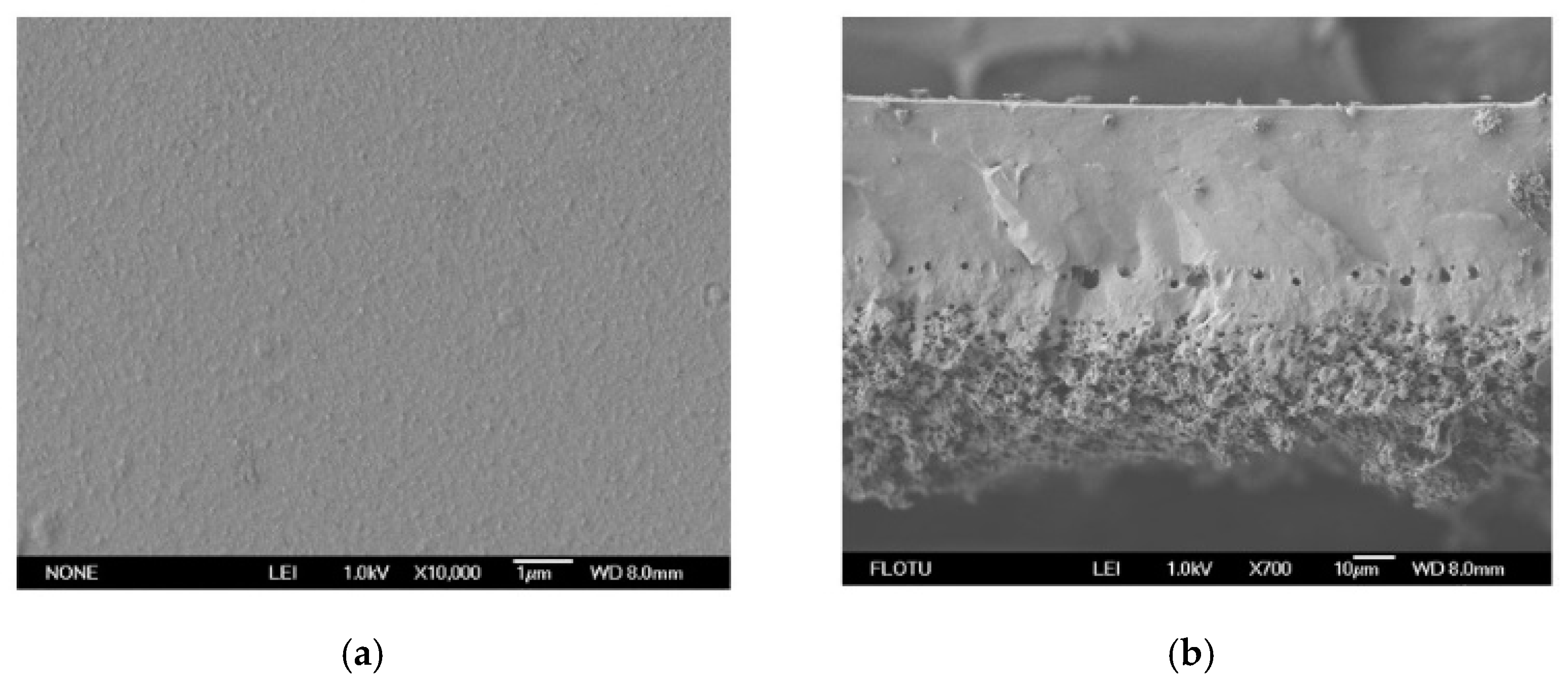 Energies 14 02266 g001 Energies 14 02266 g001