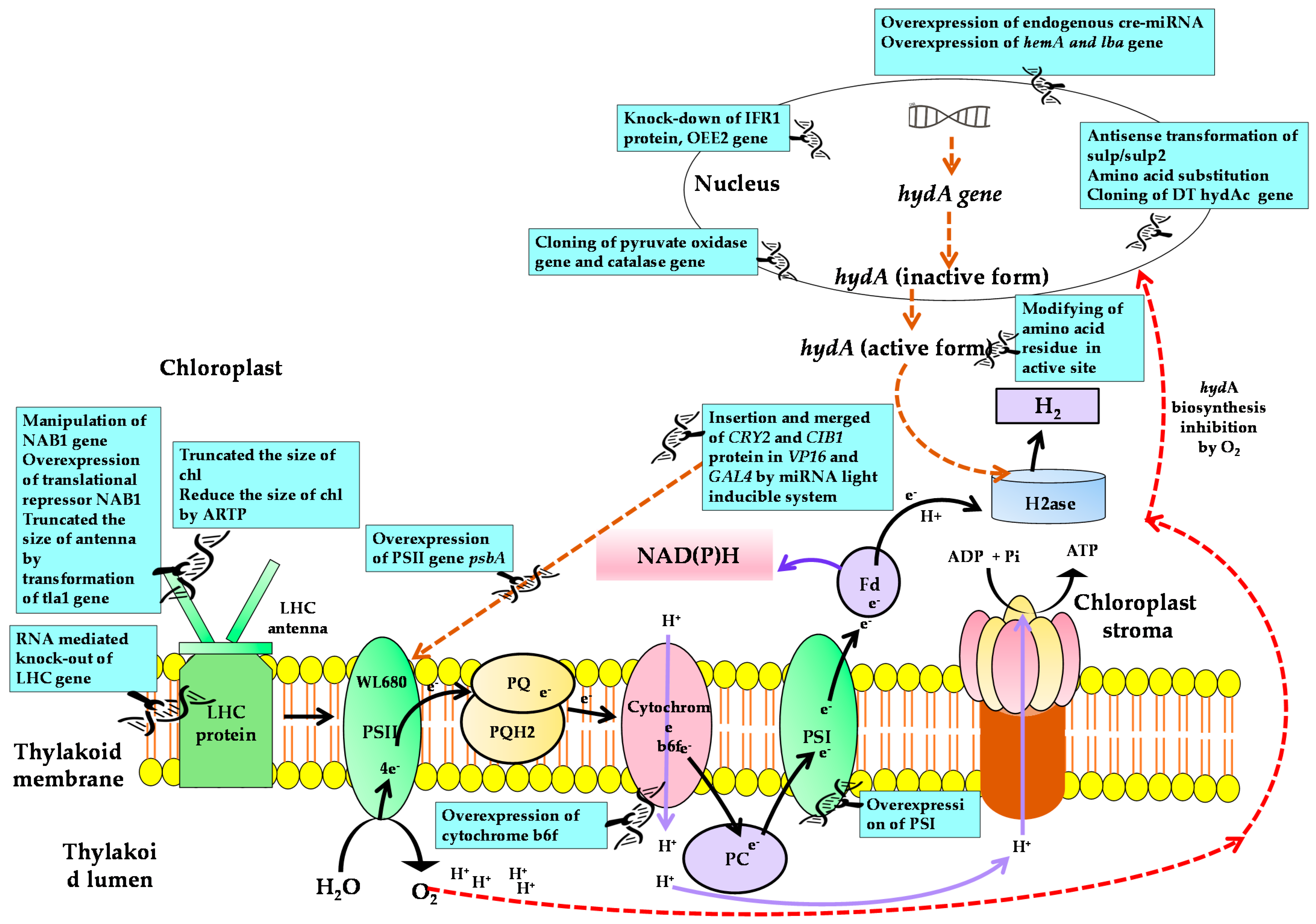 Energies 14 02282 g005