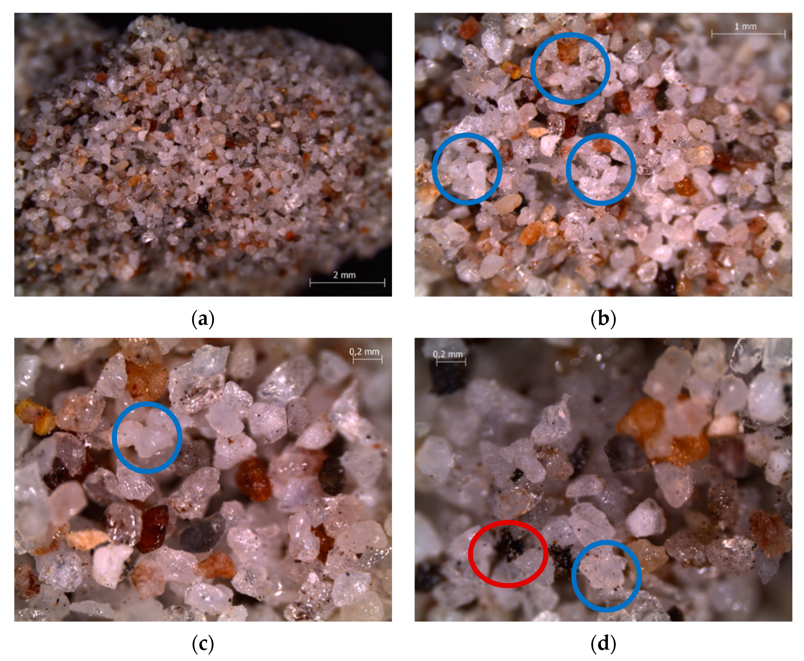 Energies 14 02399 g008