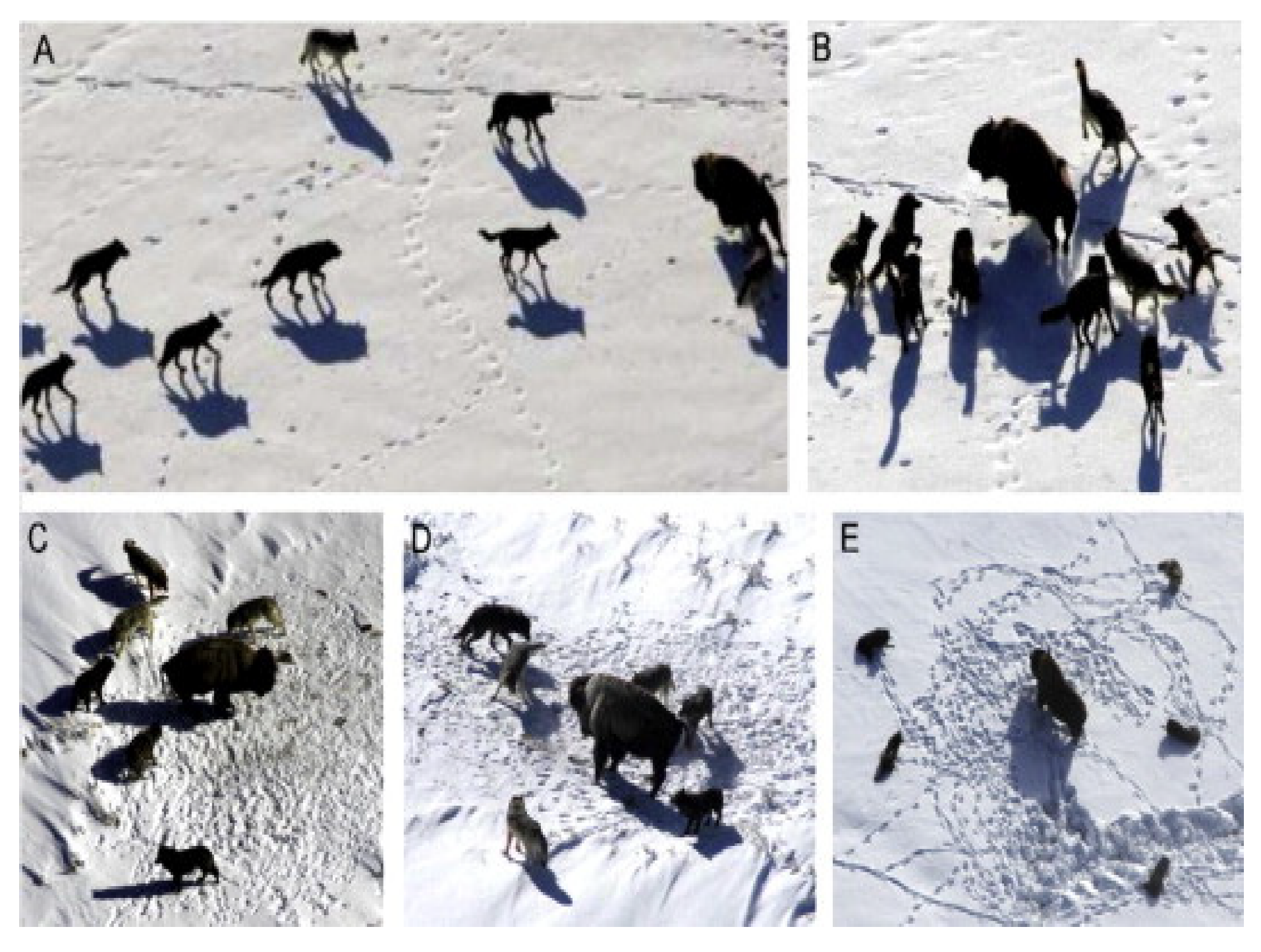 Energies 14 02587 g002