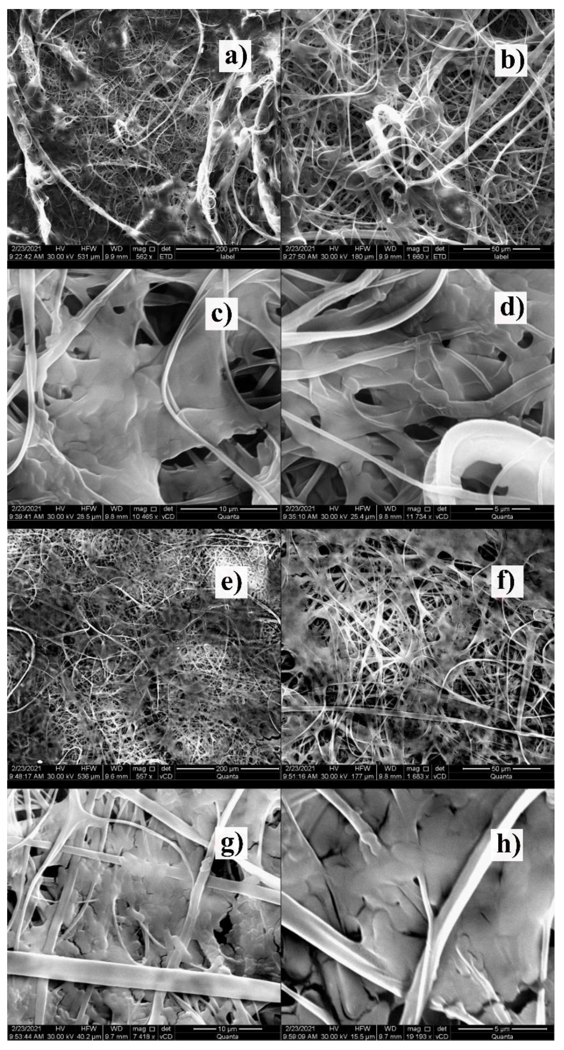 Energies 14 02598 g012