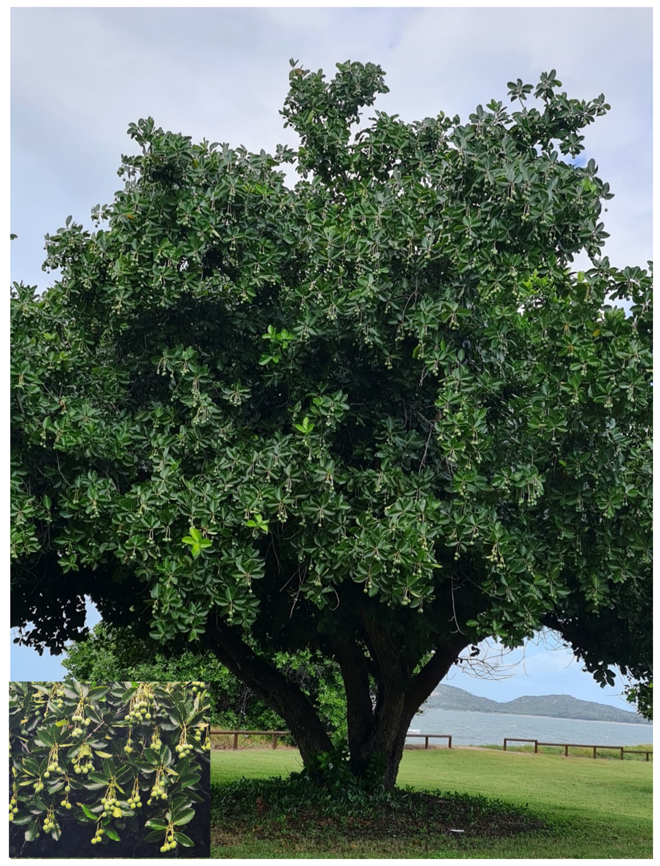 Energies 14 02625 g001