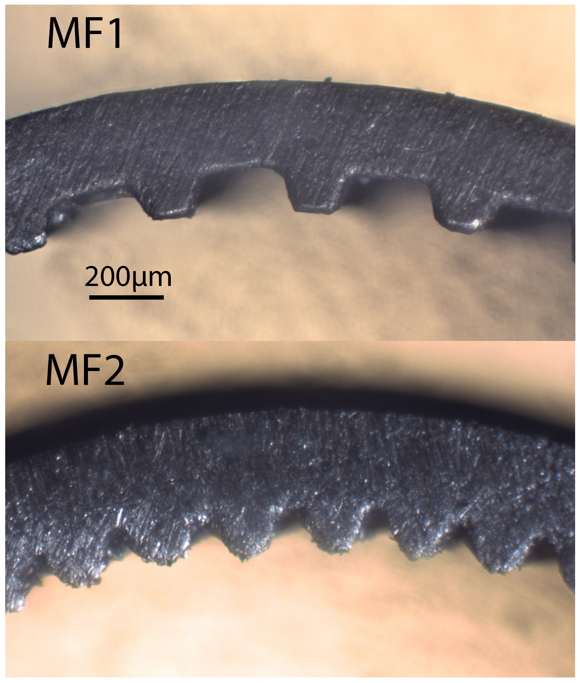 Energies 14 02647 g005