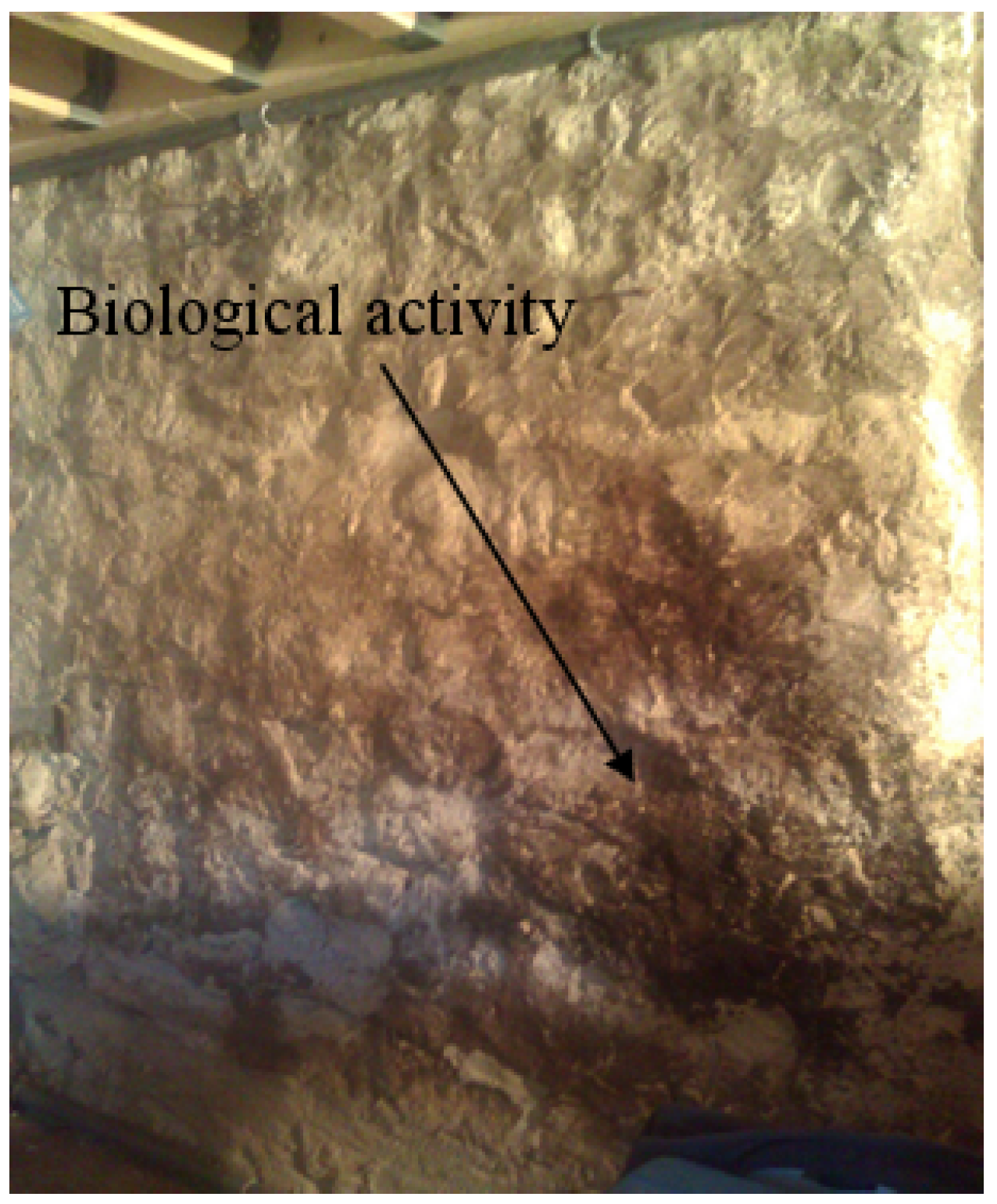 Energies 14 03421 g007