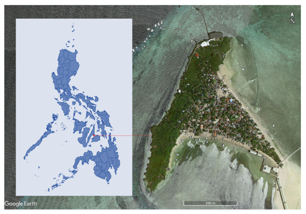 Energies 14 03467 g002