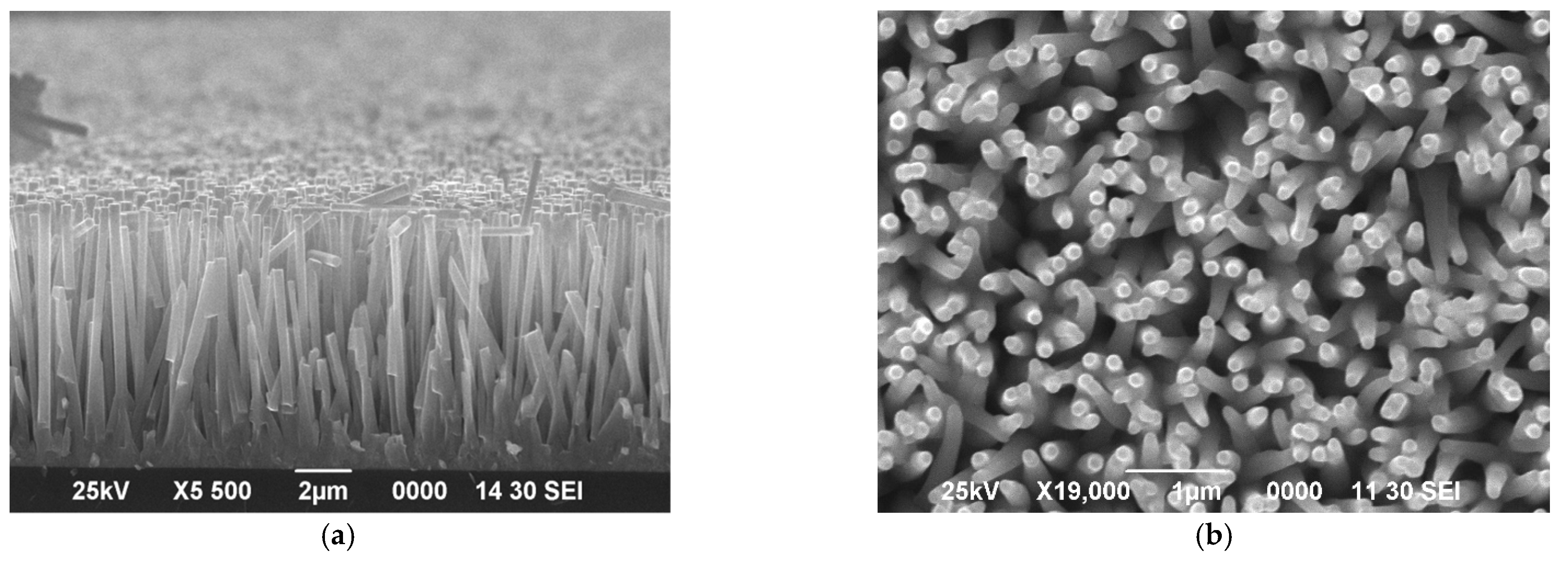 Energies 14 03750 g001